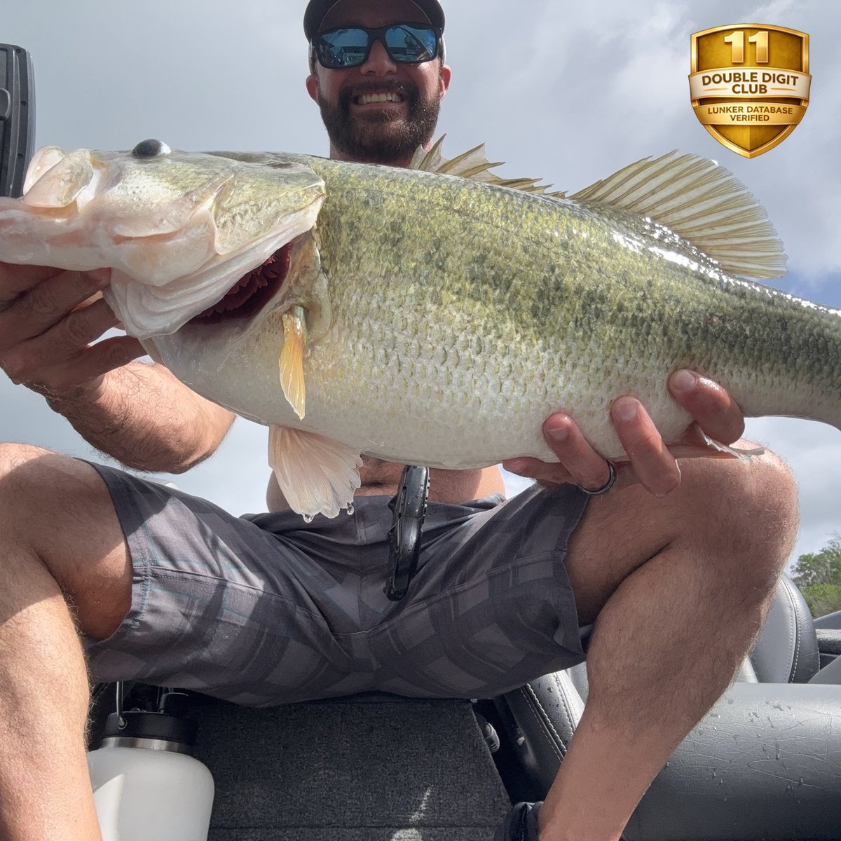 Largemouth Bass — 11 lbs 5 oz