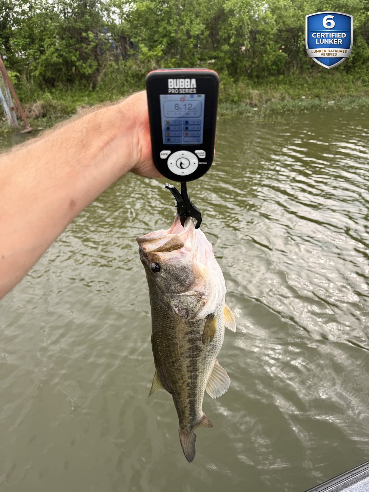 Largemouth Bass catch photo 2