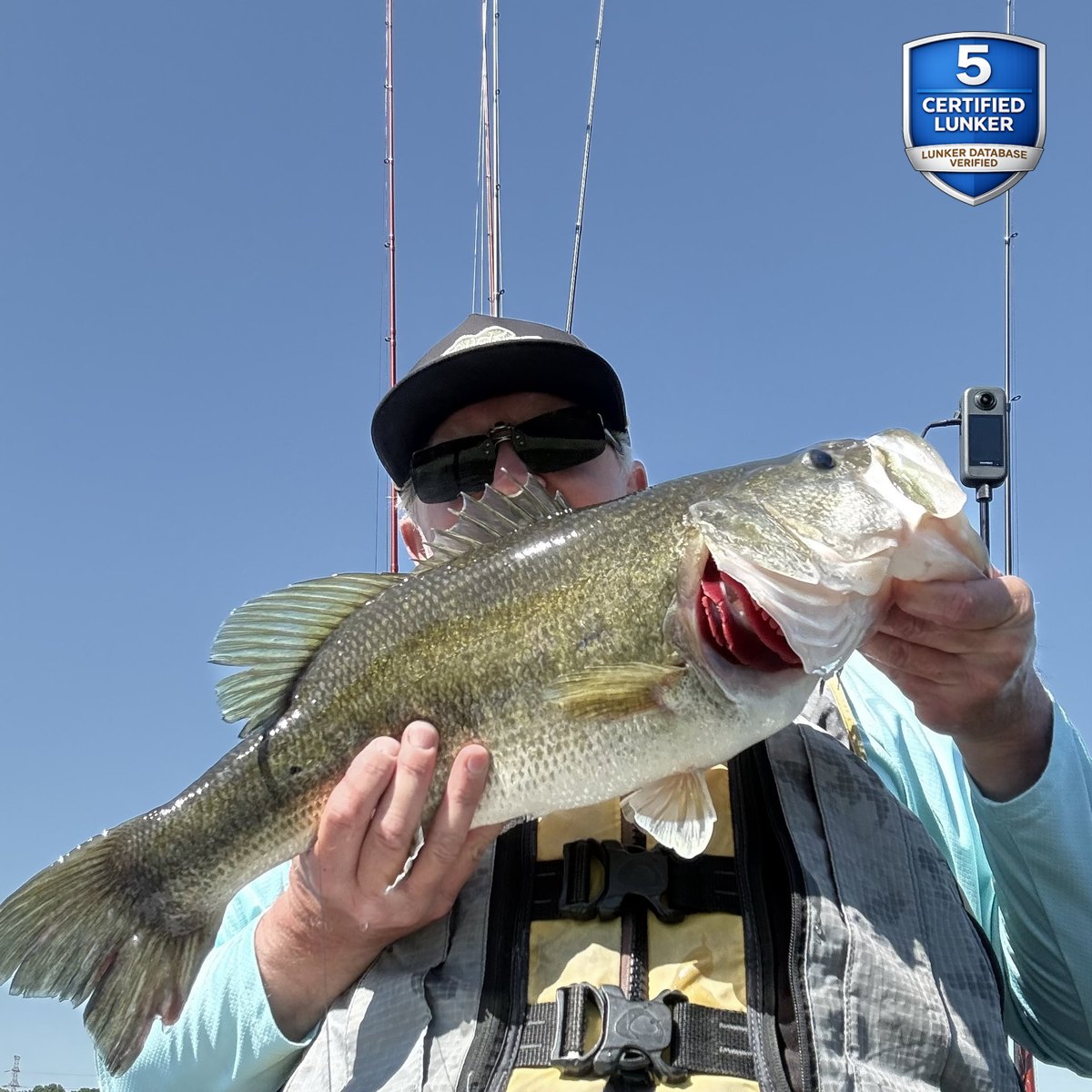 Largemouth Bass — 5 lbs 9 oz