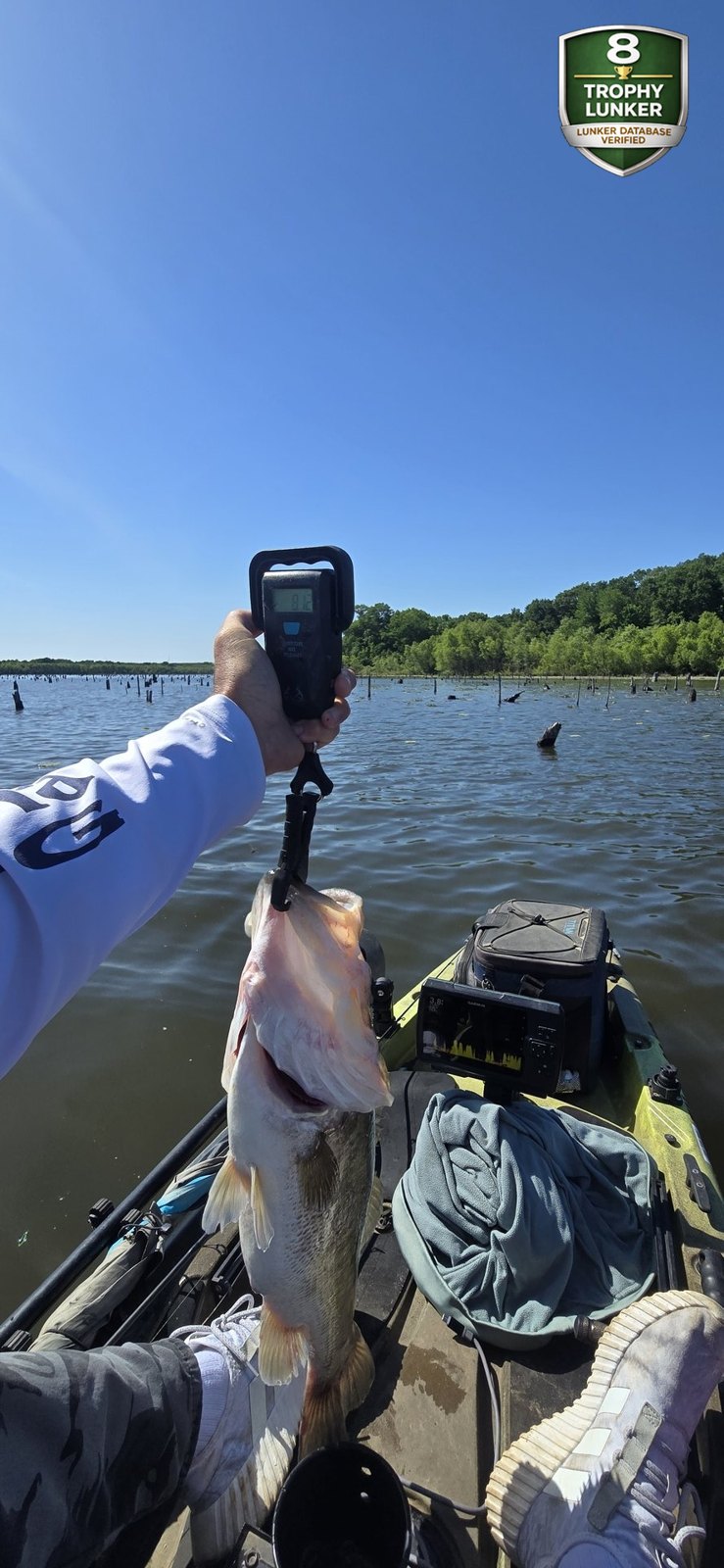 Largemouth Bass catch photo 2