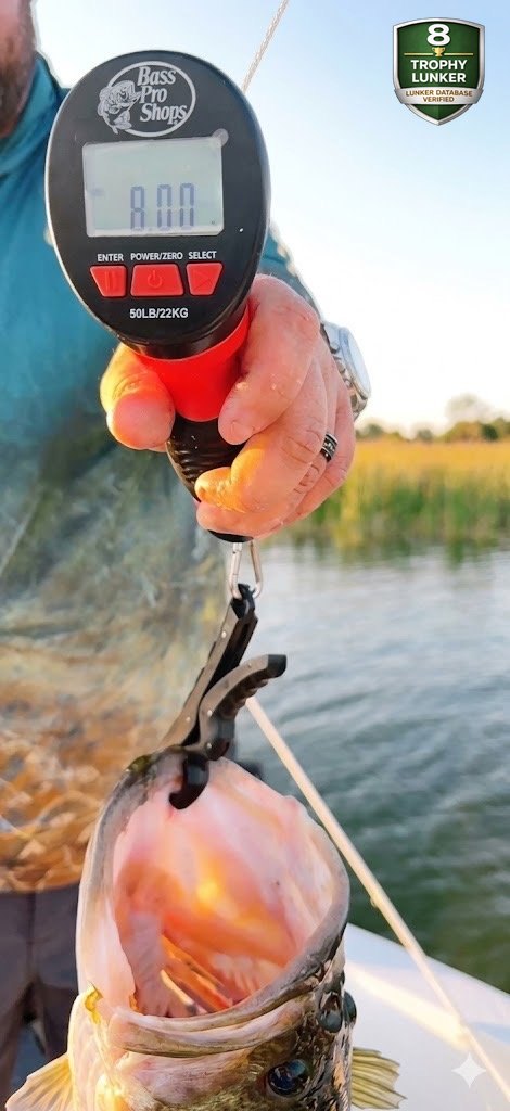 Largemouth Bass catch photo 2