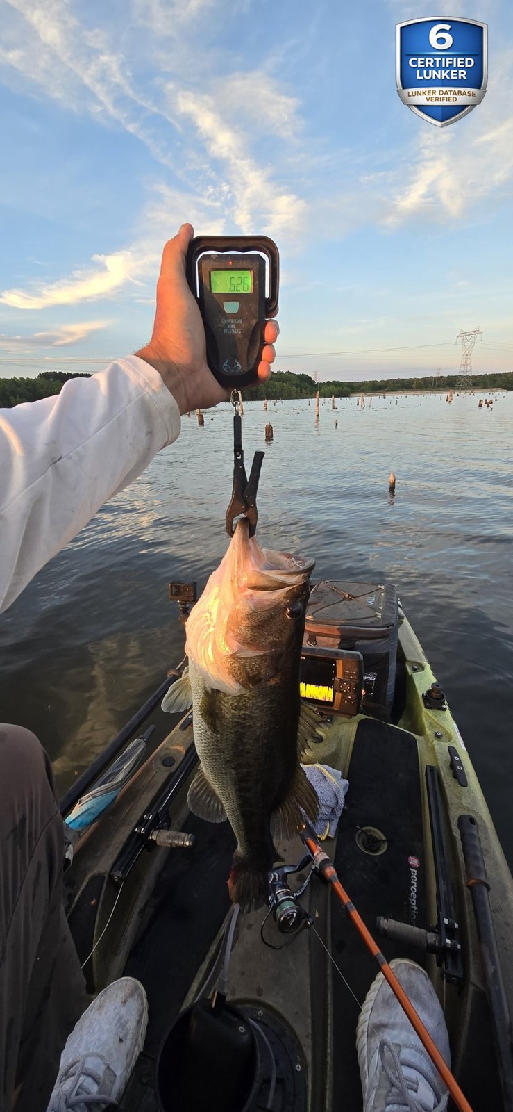 Largemouth Bass catch photo 2