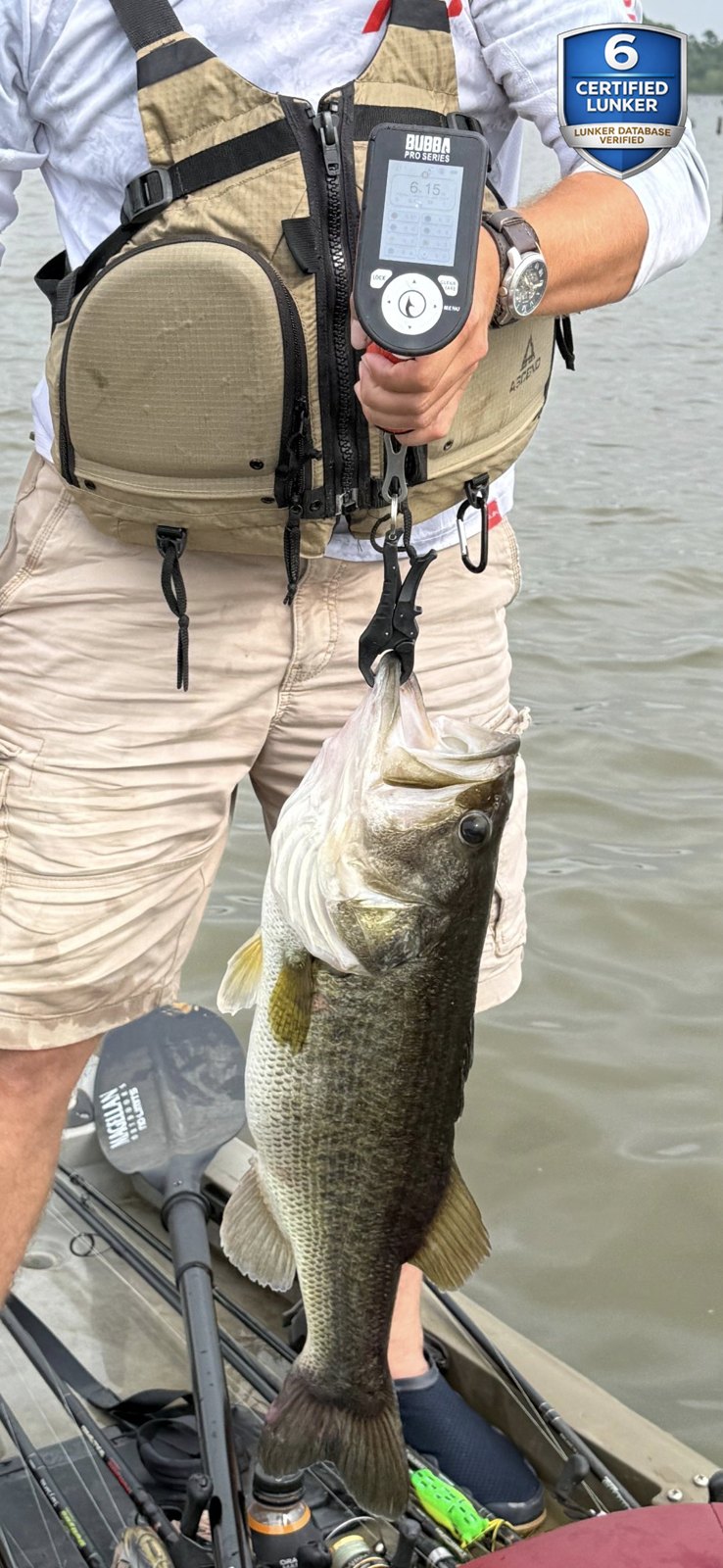 Largemouth Bass catch photo 3