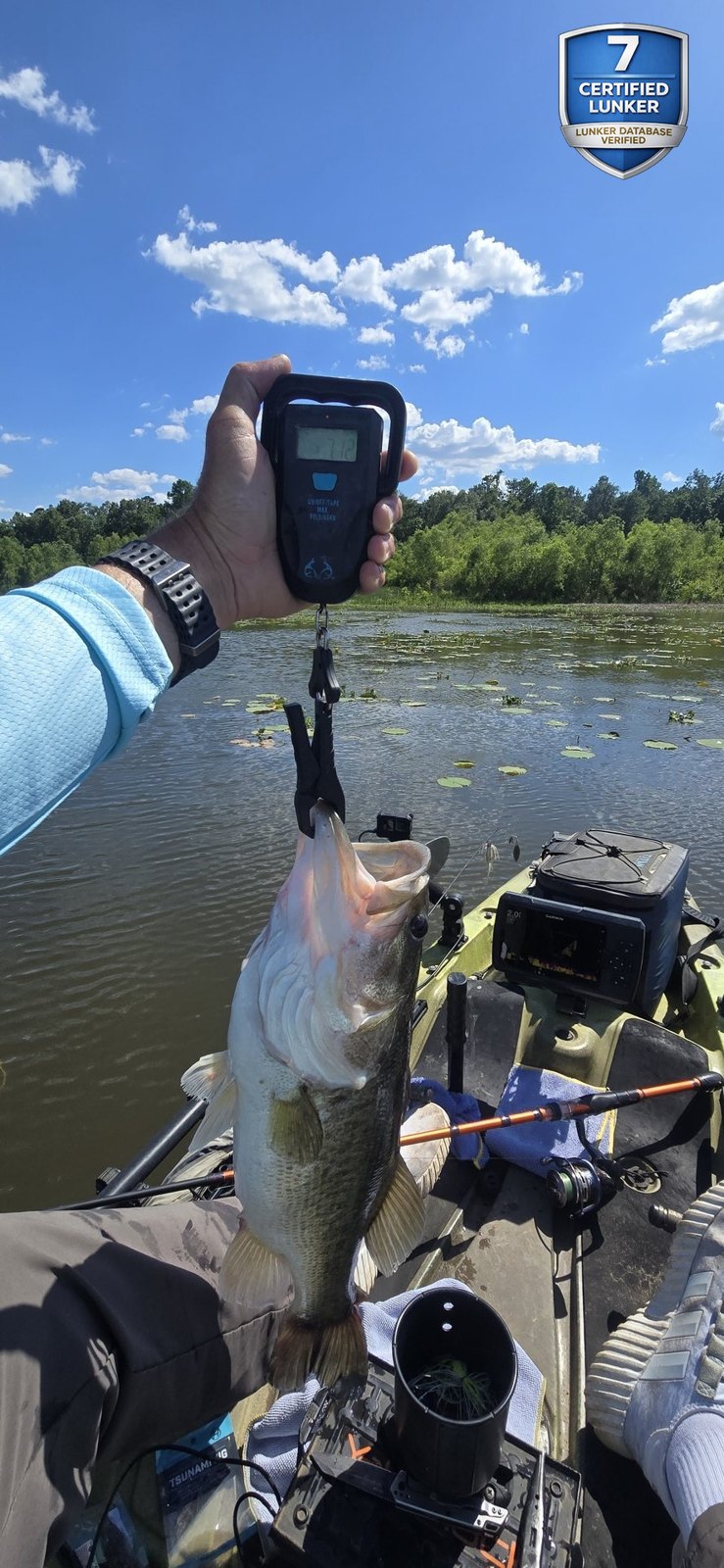 Largemouth Bass catch photo 2