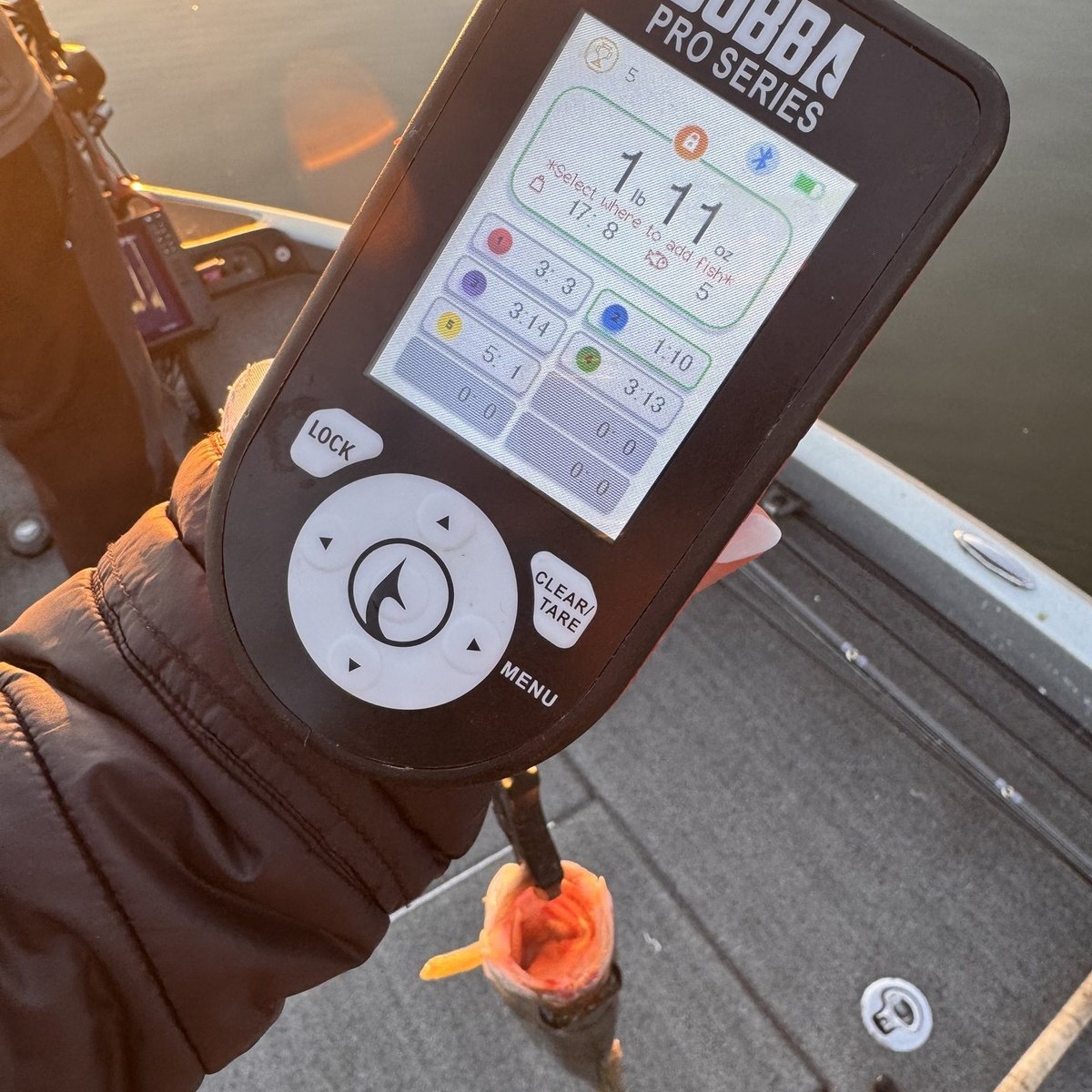 Largemouth Bass — 1 lbs 11 oz