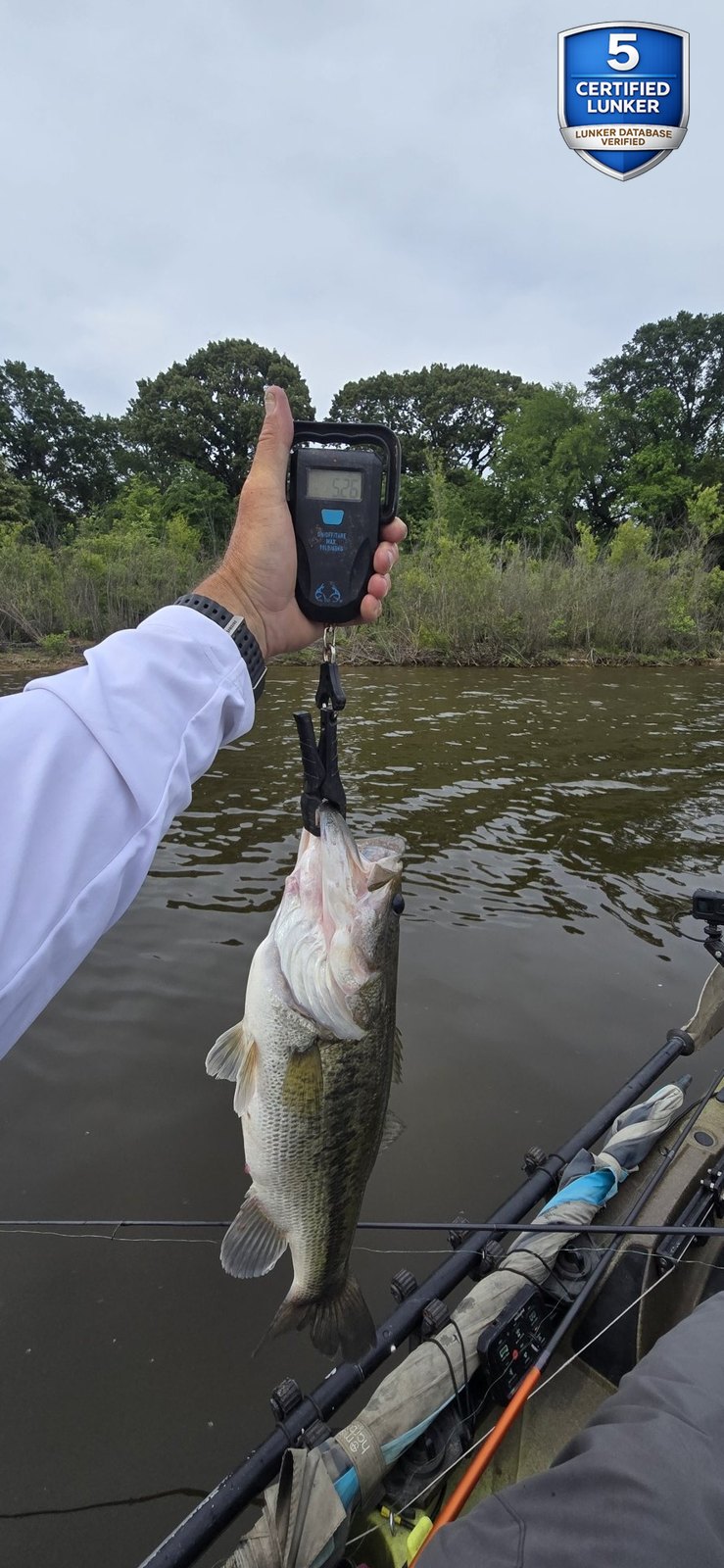 Largemouth Bass catch photo 2