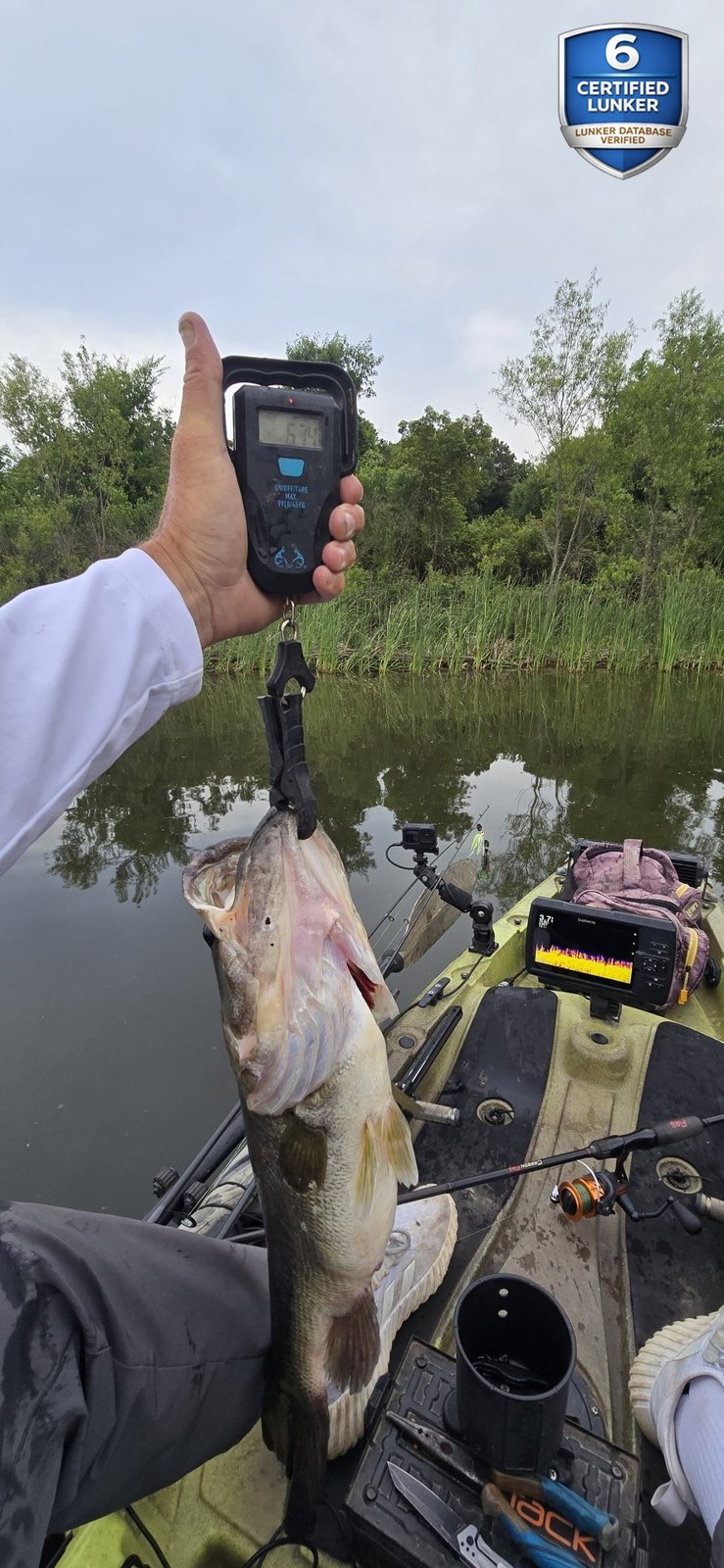 Largemouth Bass catch photo 2