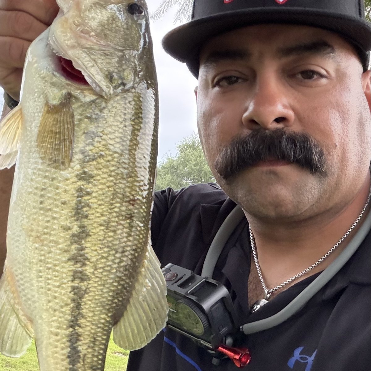 Largemouth Bass — 2 lbs 4 oz