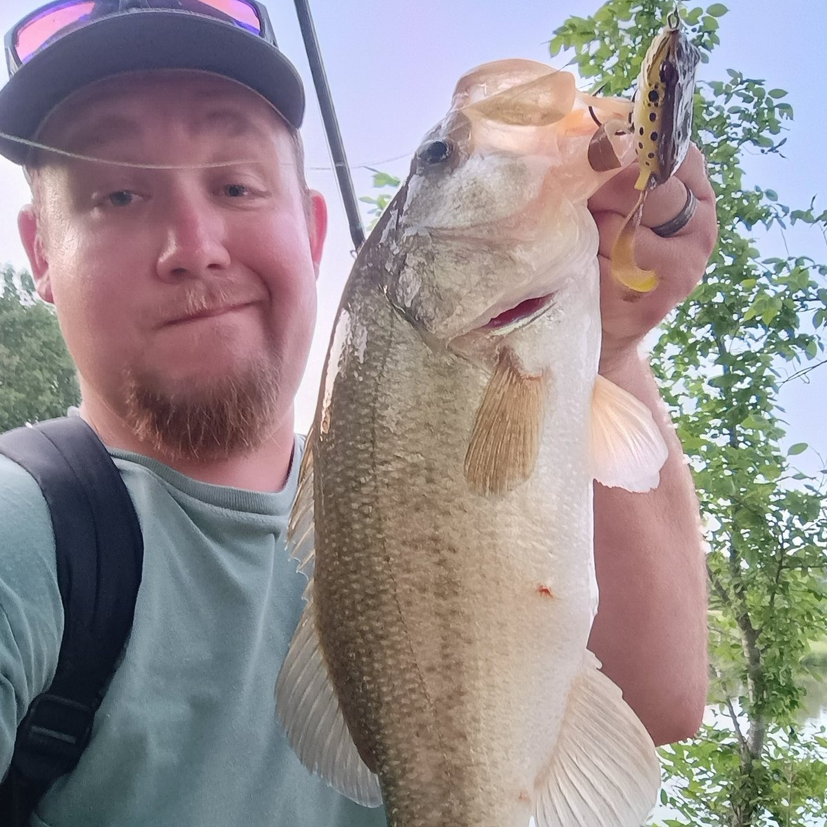 Largemouth Bass — 3 lbs 3 oz