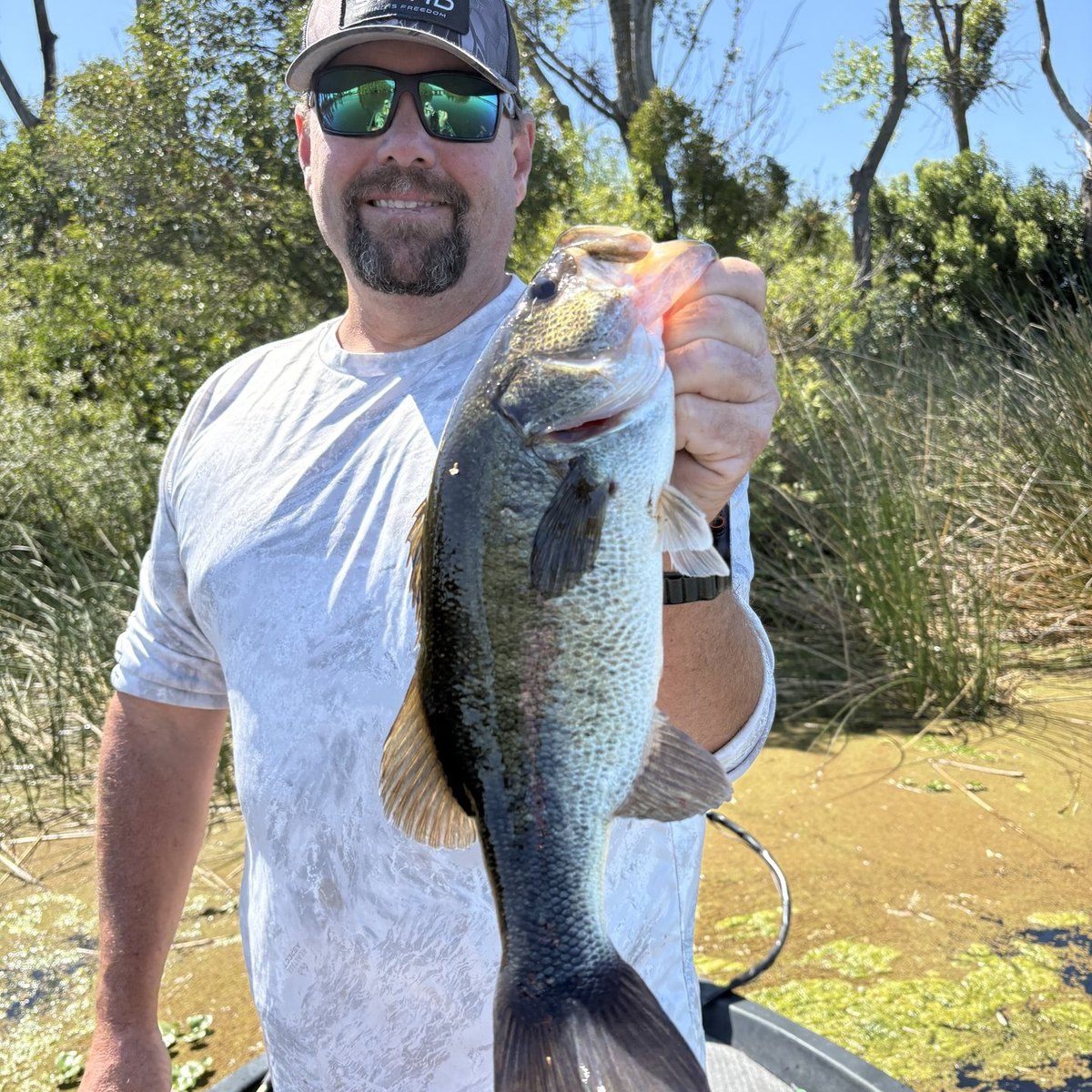 Largemouth Bass — 2 lbs 13 oz