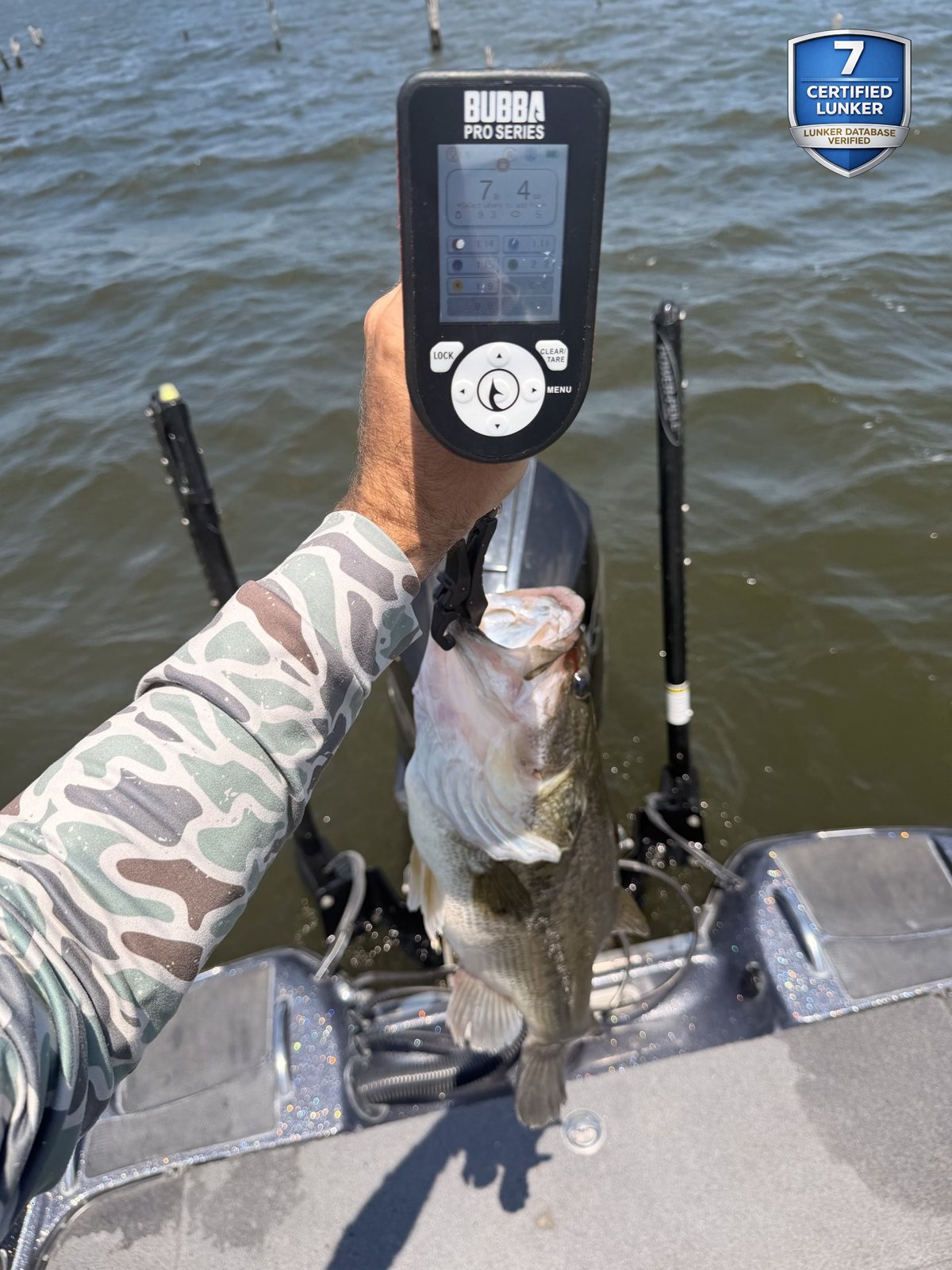 Largemouth Bass catch photo 2