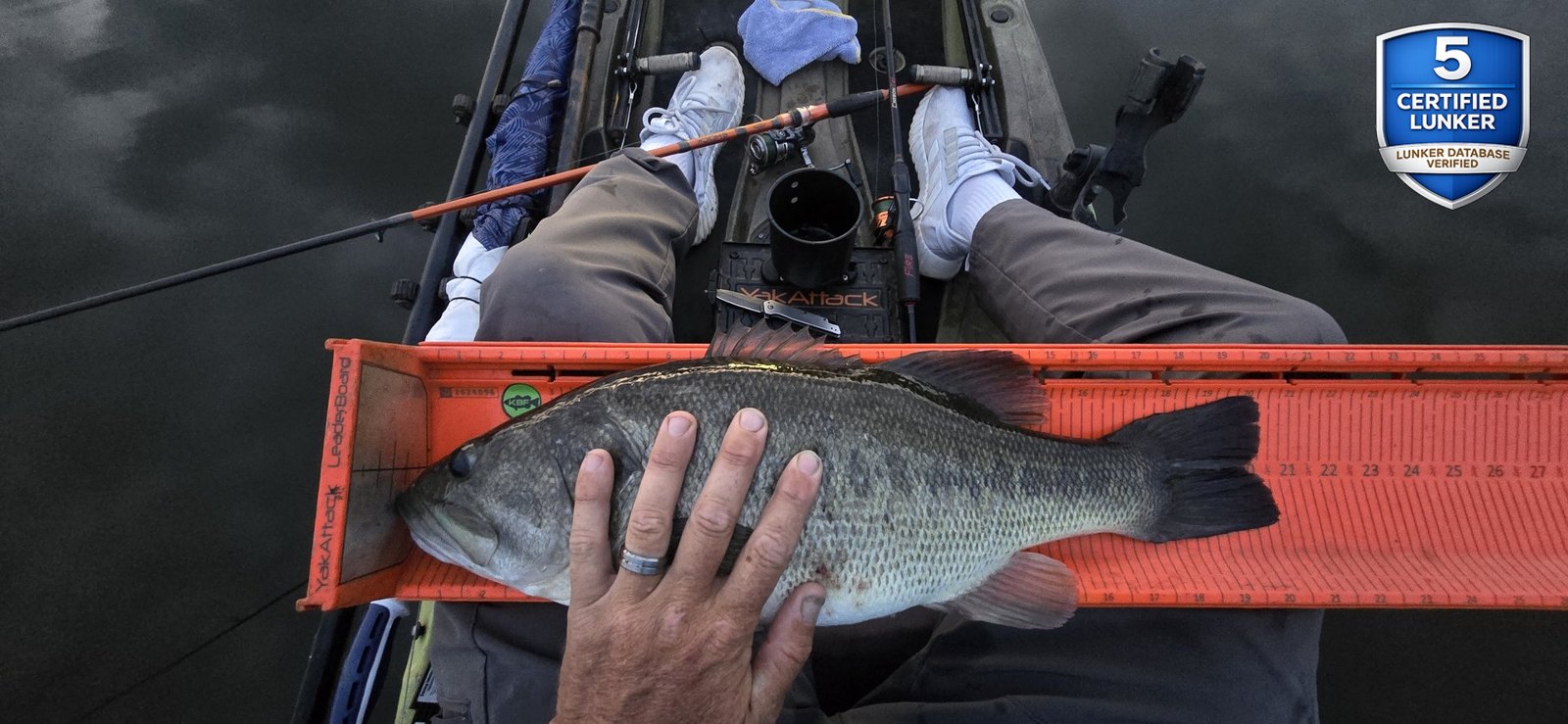 Largemouth Bass catch photo 3