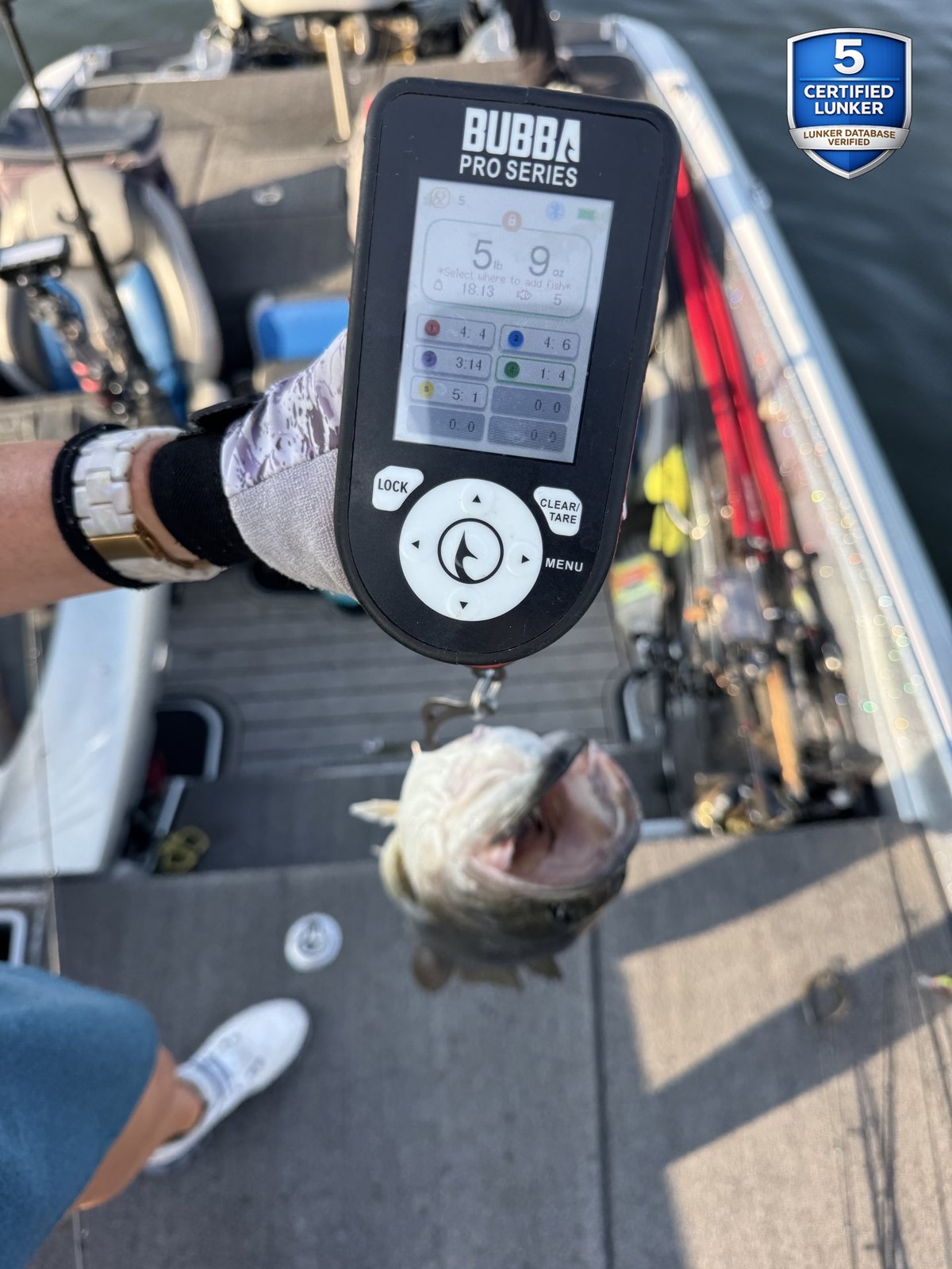 Largemouth Bass catch photo 2