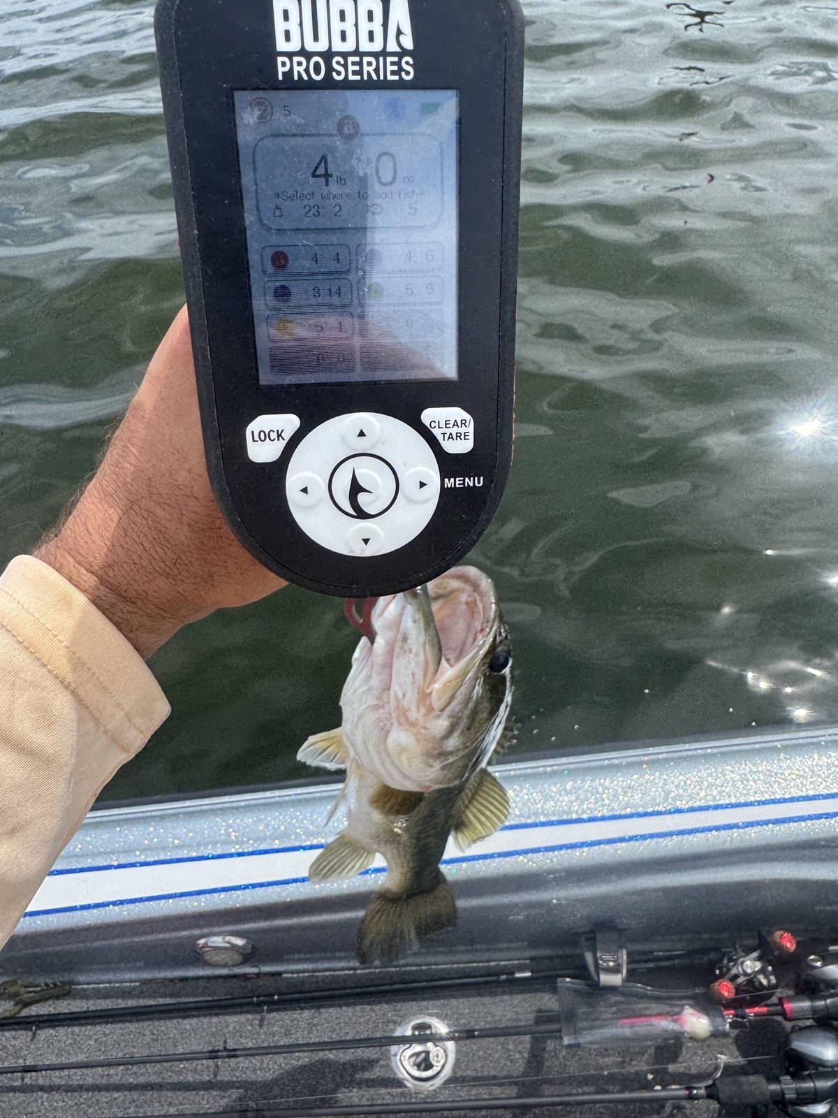 Largemouth Bass catch photo 2