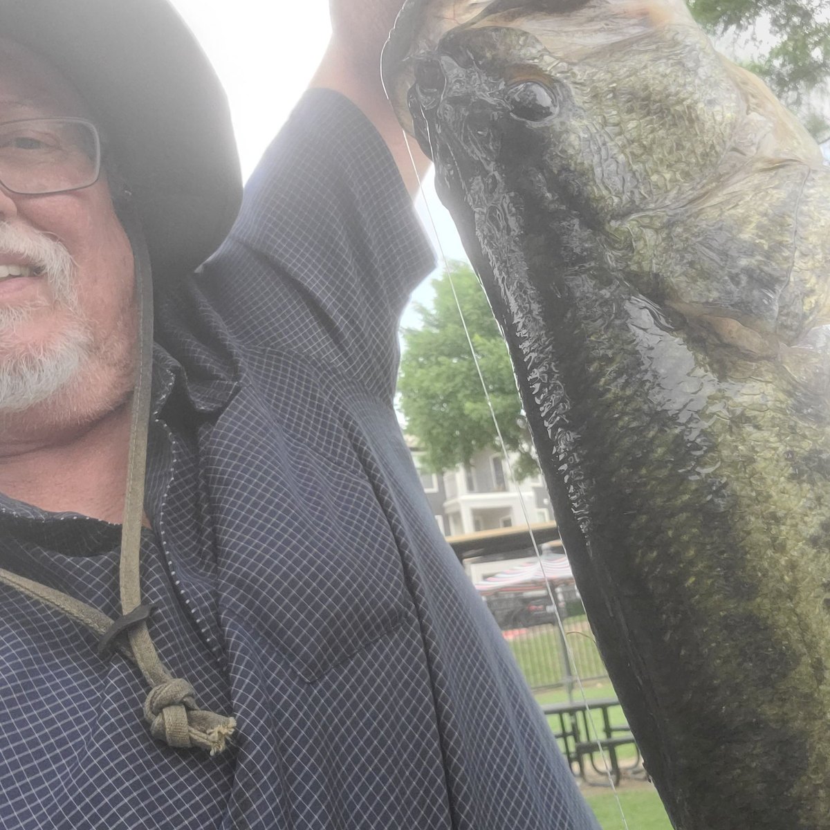 Largemouth Bass — 7 lbs