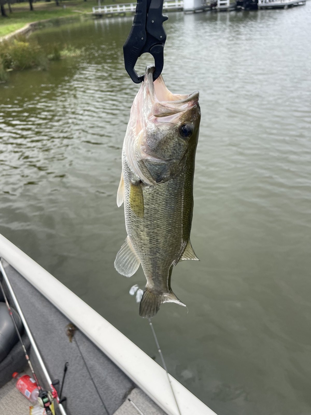 Largemouth Bass · 1 lbs 4 oz