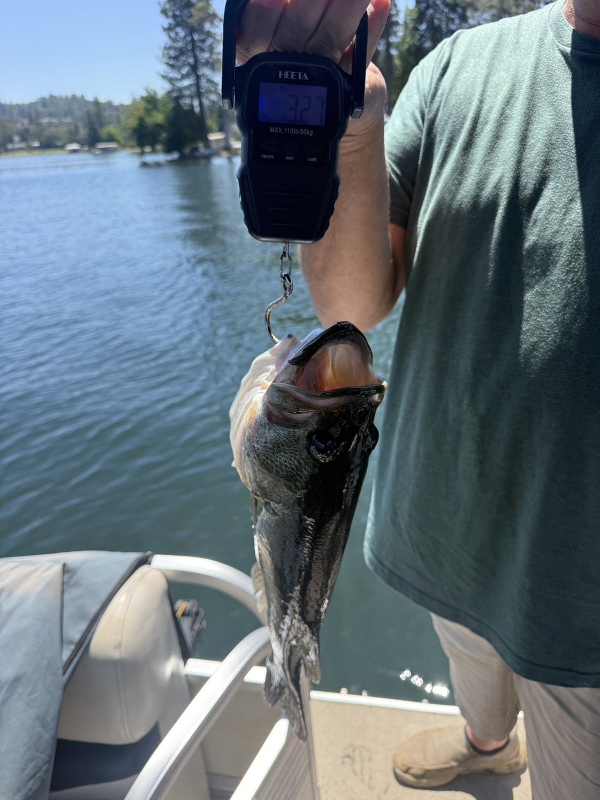 Largemouth Bass catch photo 2