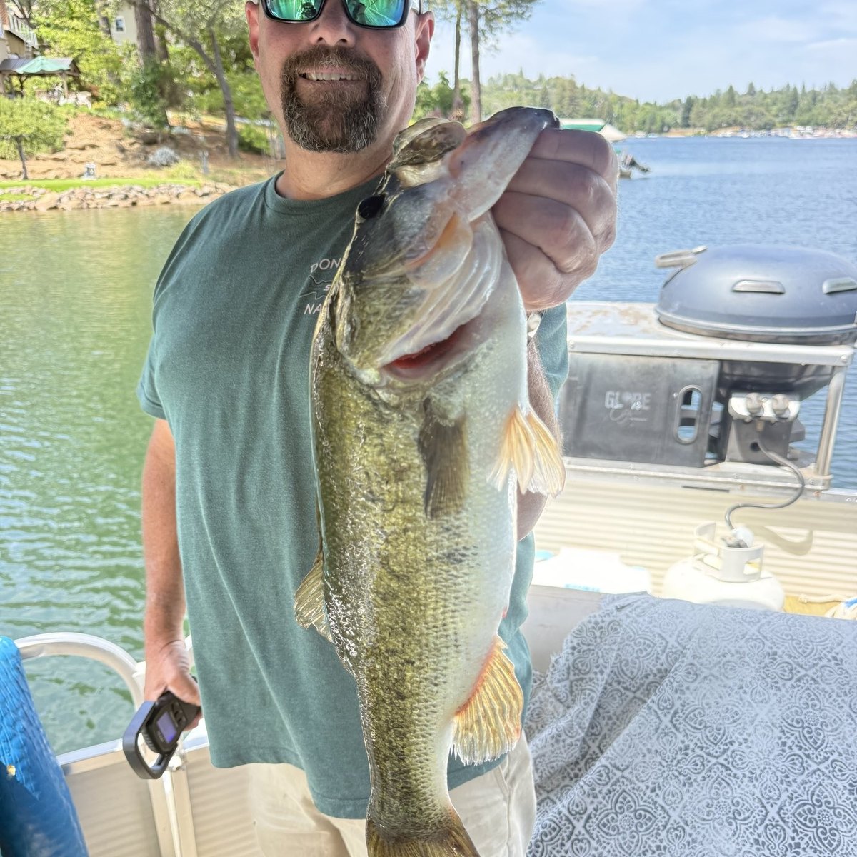 Largemouth Bass — 3 lbs 5 oz