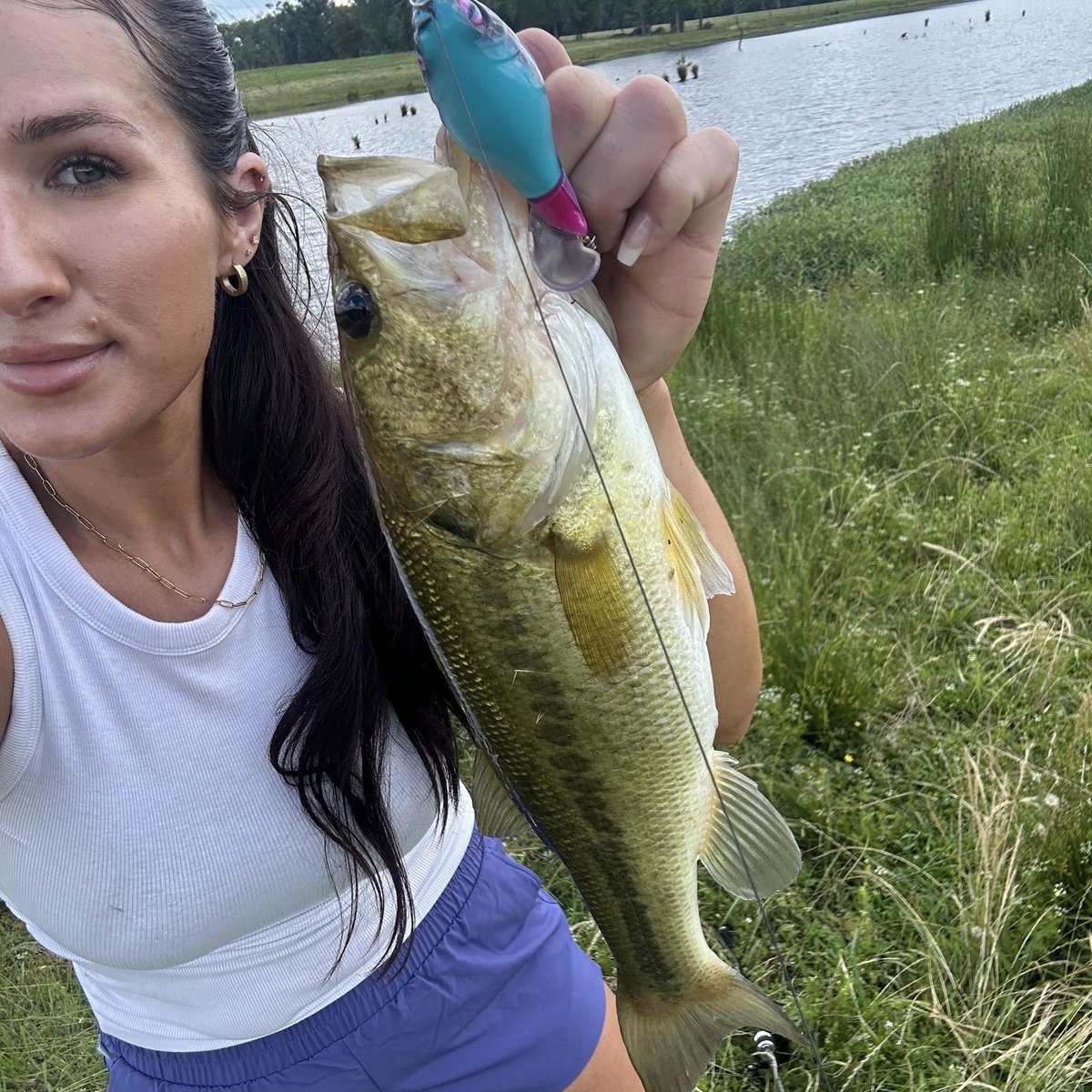 Largemouth Bass — 1 lbs 8 oz