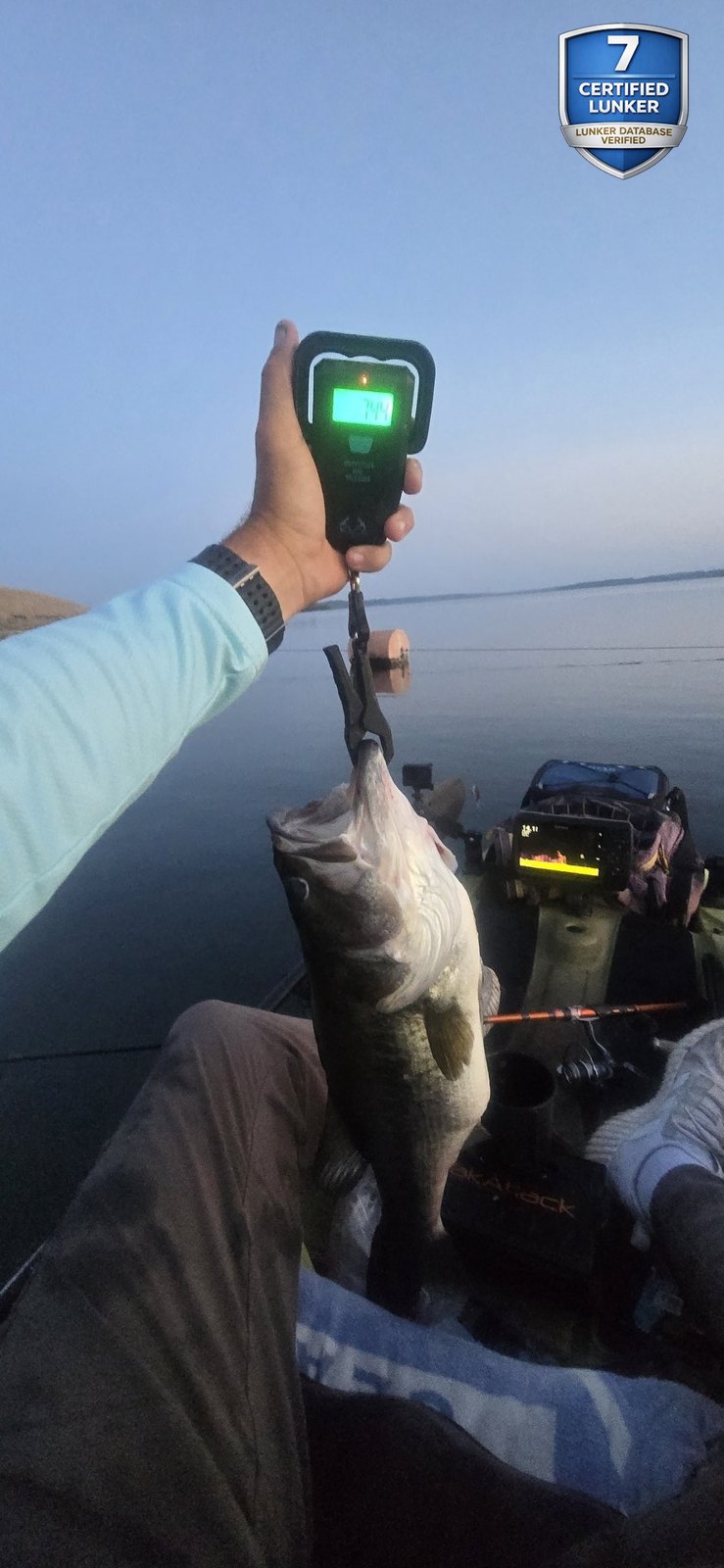 Largemouth Bass catch photo 2