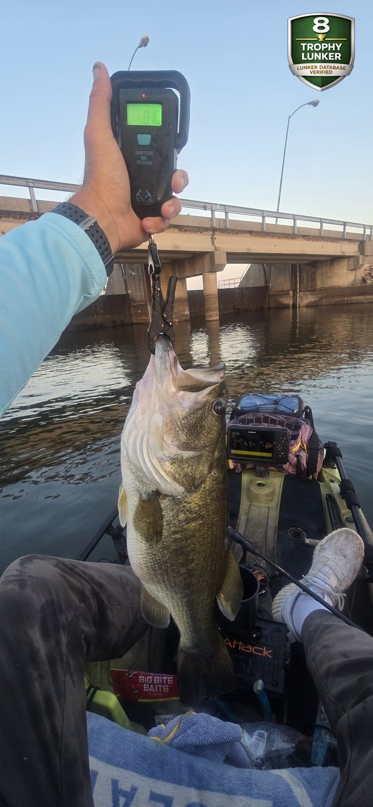 Largemouth Bass catch photo 2