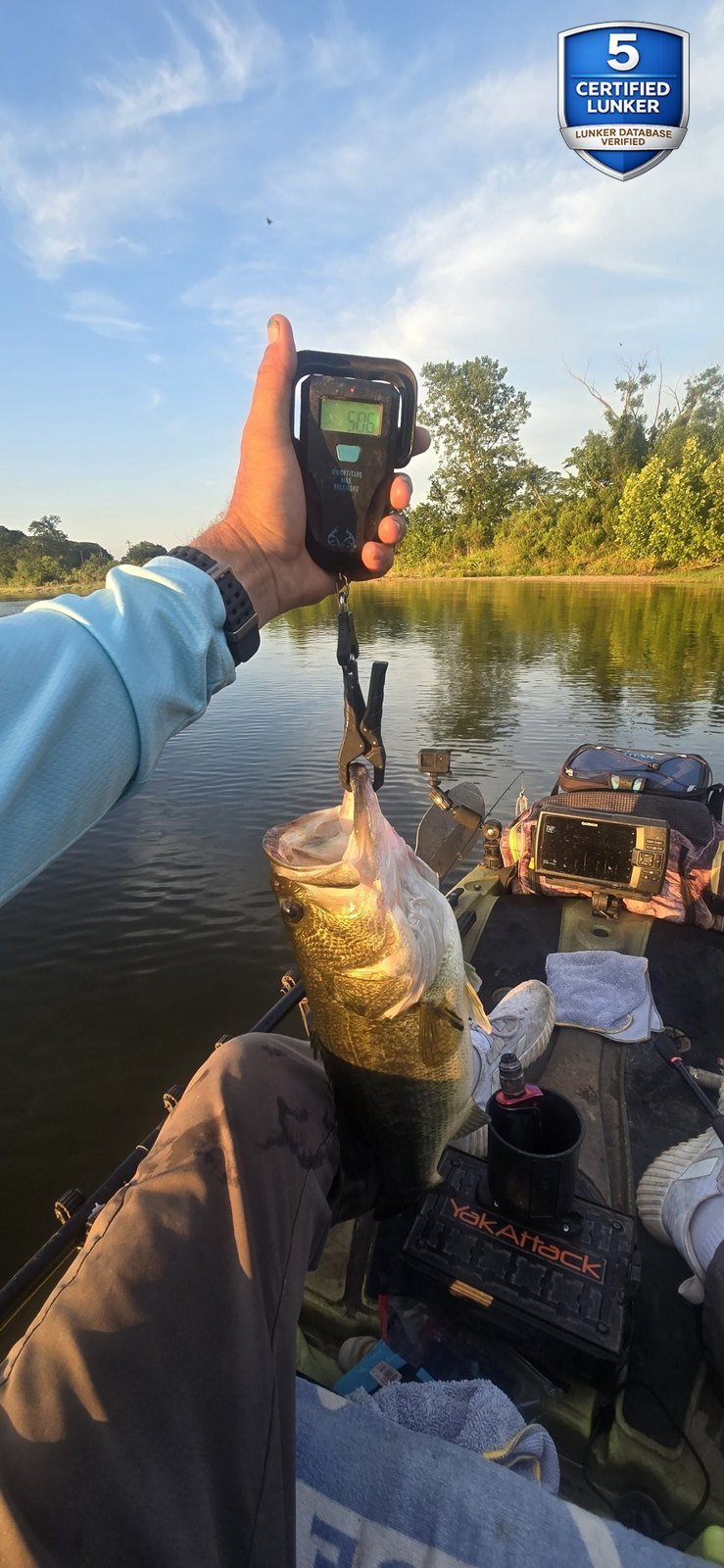 Largemouth Bass catch photo 2