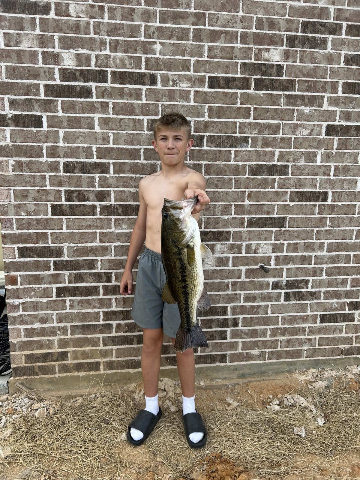 Largemouth Bass · 5 lbs