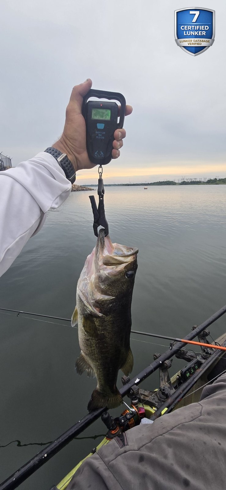 Largemouth Bass catch photo 2
