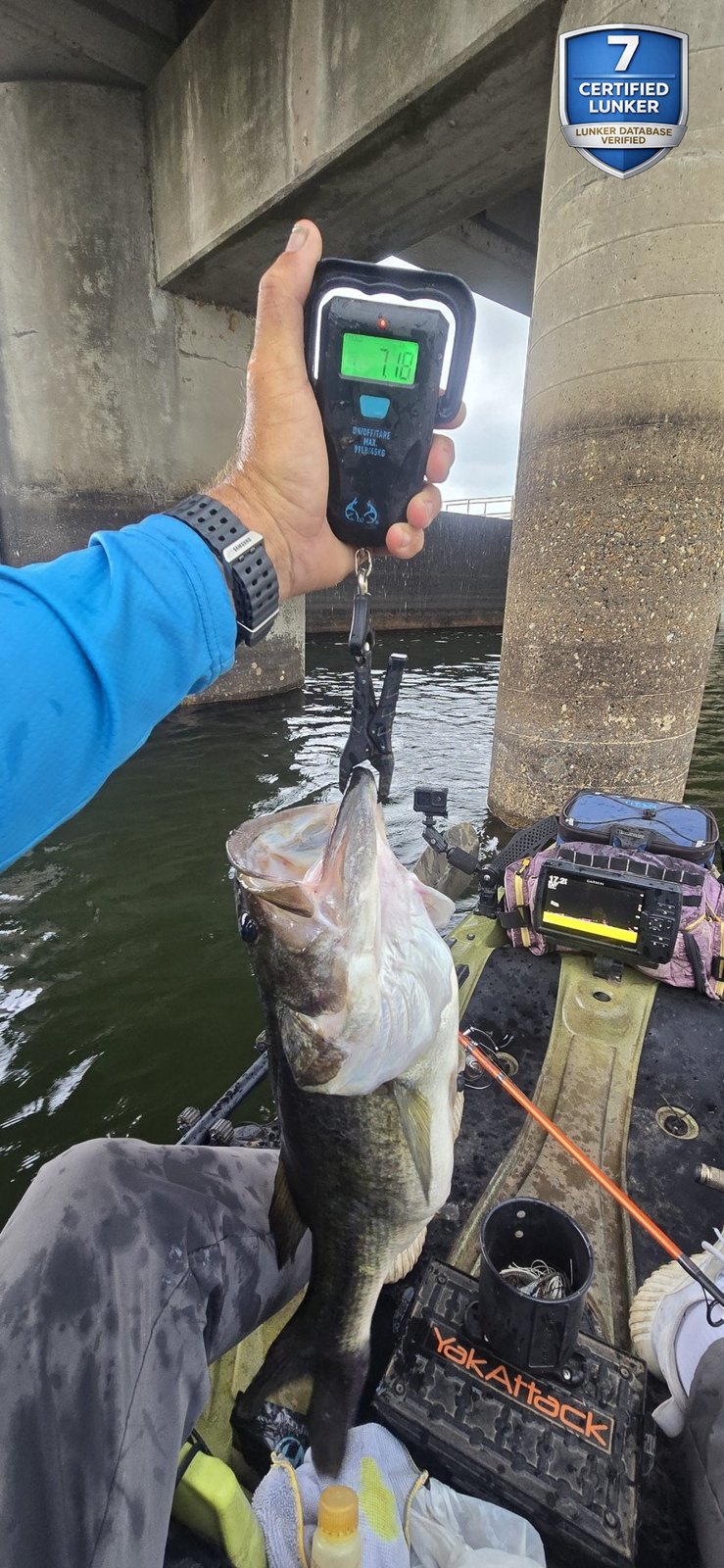 Largemouth Bass catch photo 2