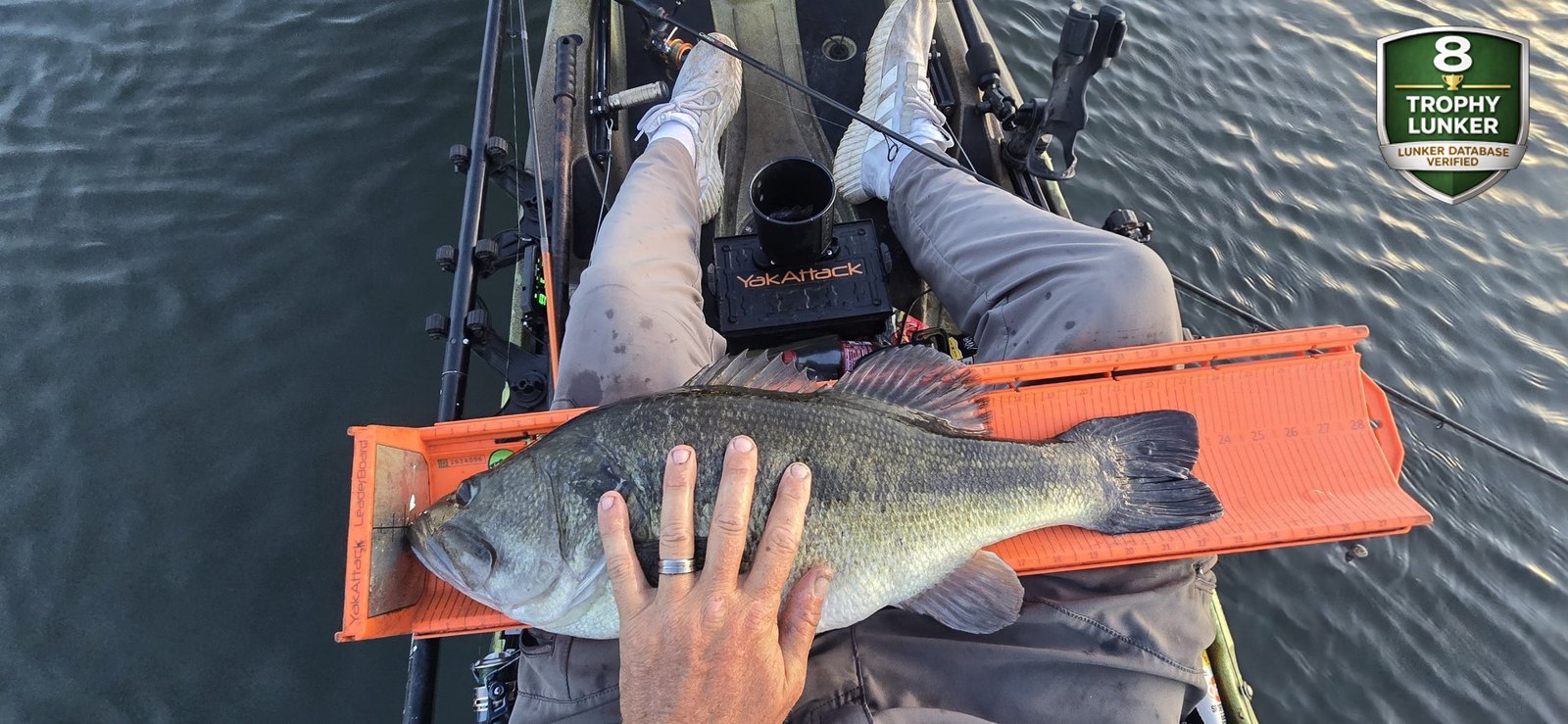 Largemouth Bass catch photo 3