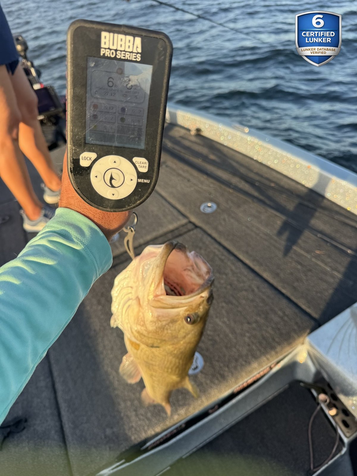 Largemouth Bass catch photo 2