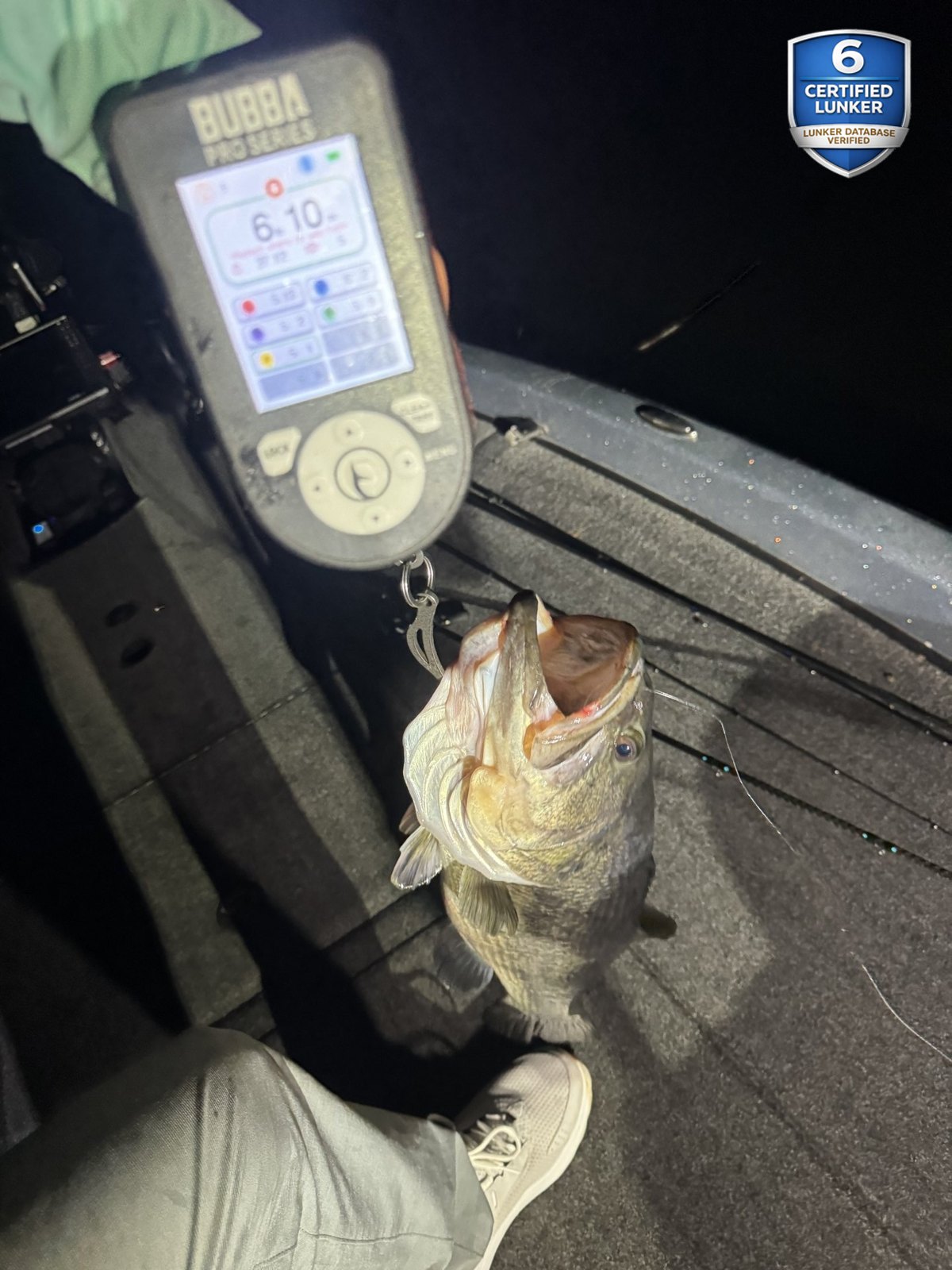 Largemouth Bass catch photo 2