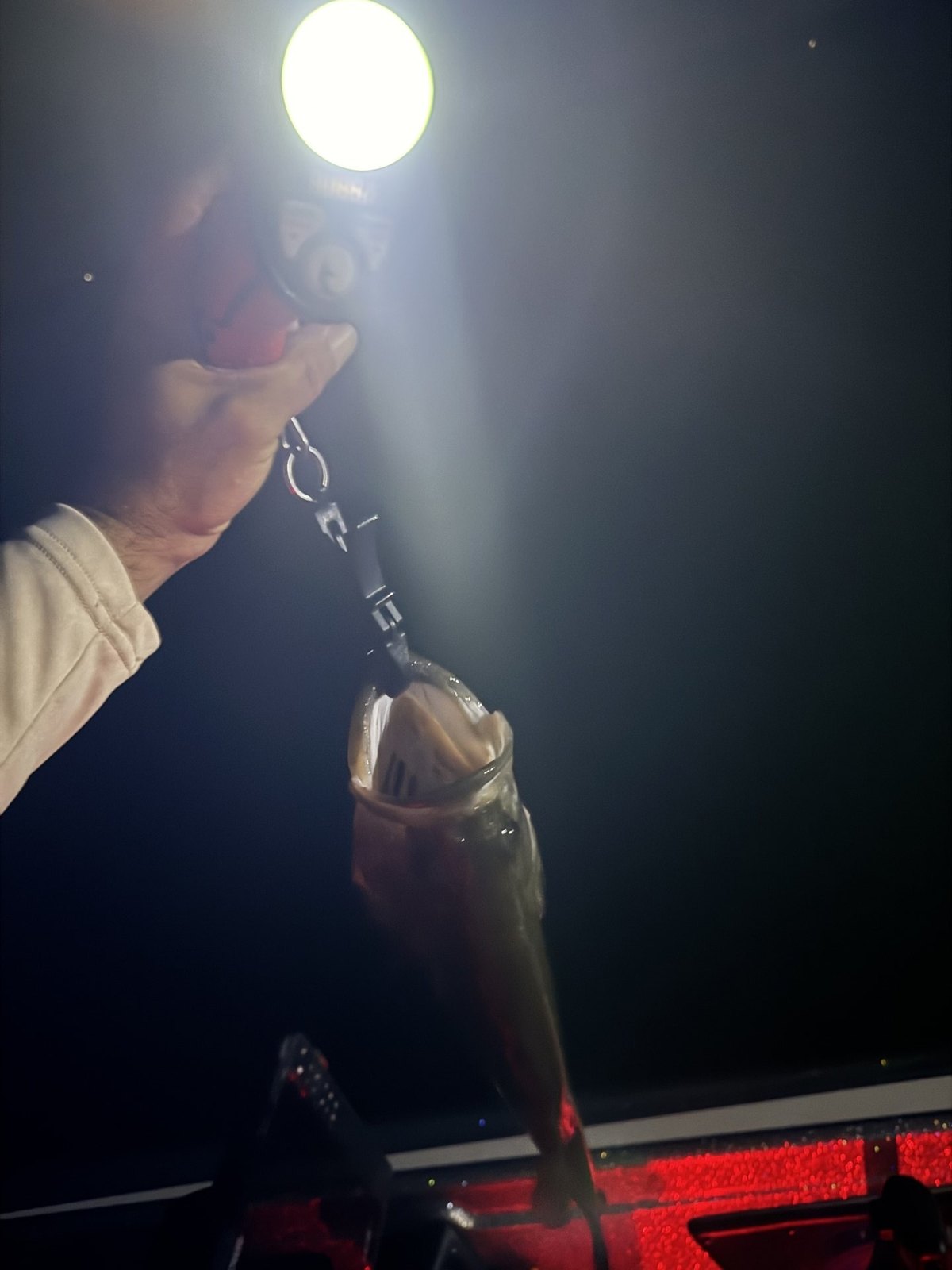 Largemouth Bass · 4 lbs 5 oz