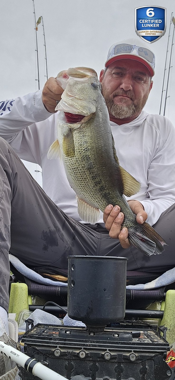 Largemouth Bass catch photo 1