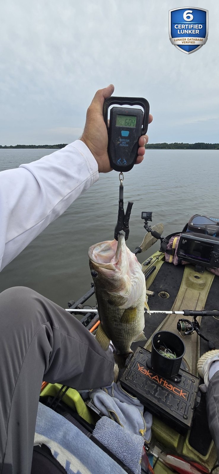 Largemouth Bass catch photo 2