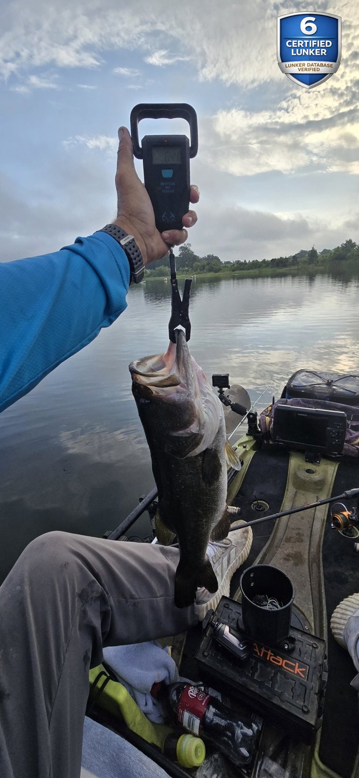 Largemouth Bass catch photo 2