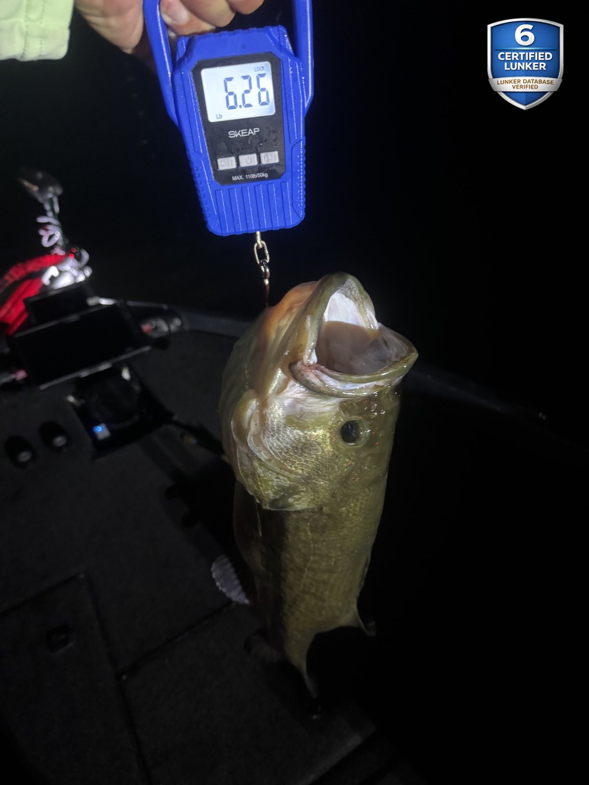 Largemouth Bass catch photo 2
