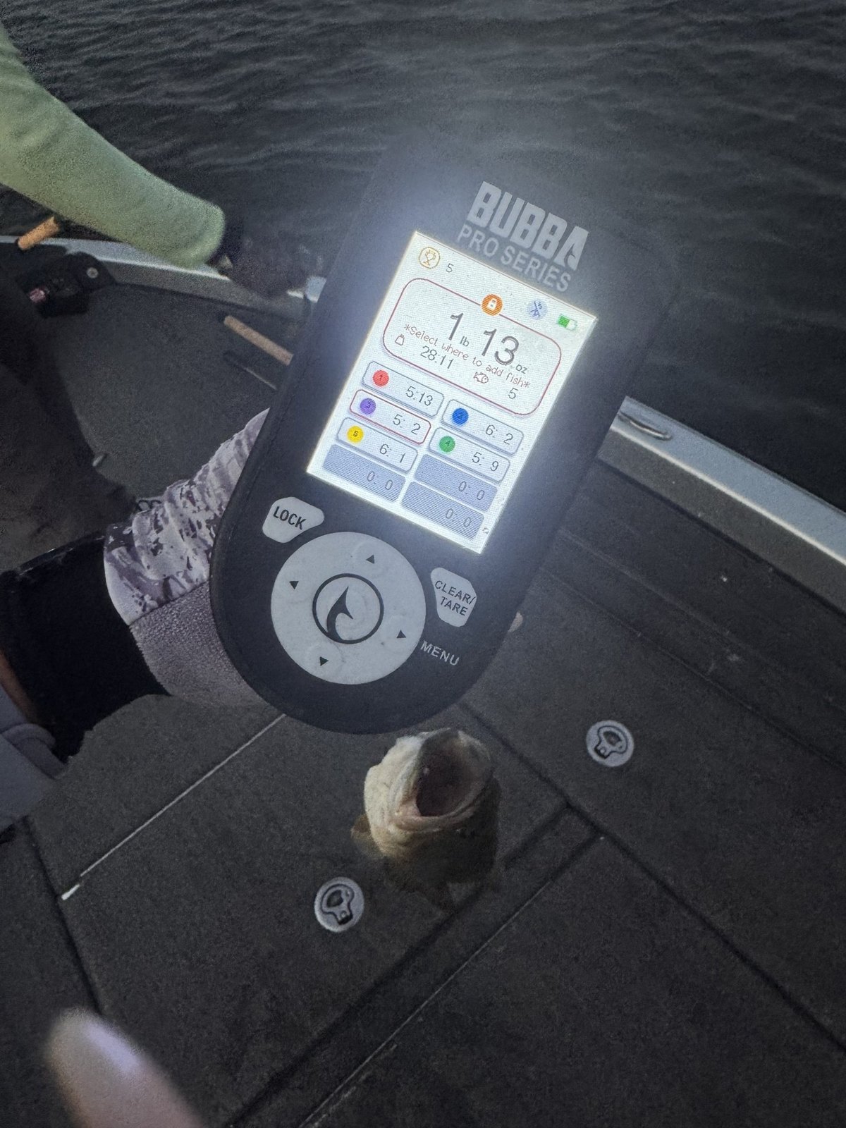 Largemouth Bass · 1 lbs 13 oz