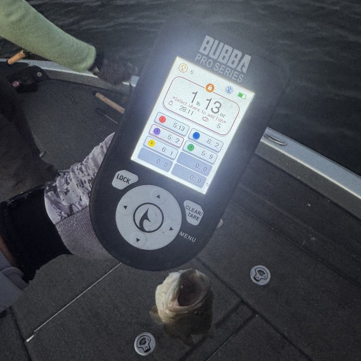 Largemouth Bass — 1 lbs 13 oz