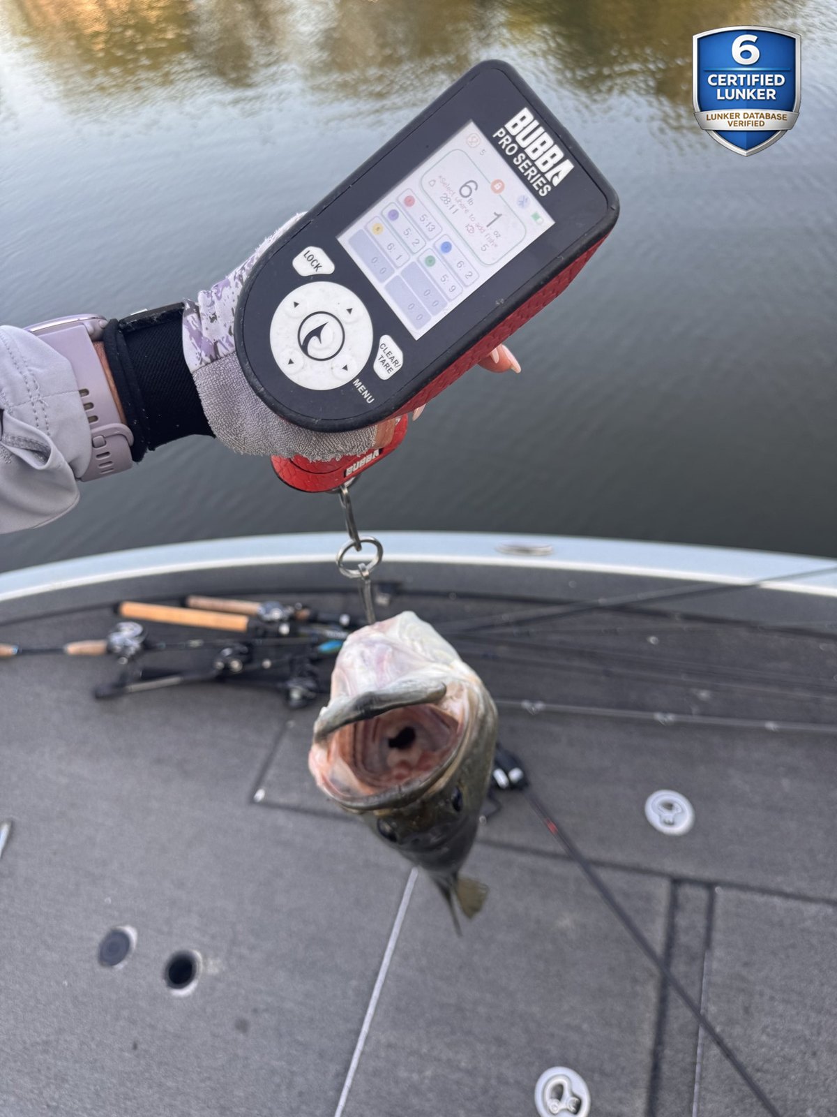 Largemouth Bass catch photo 1