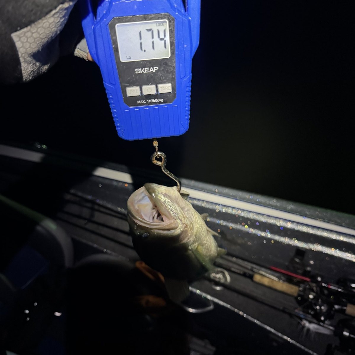 Largemouth Bass — 1 lbs 11 oz