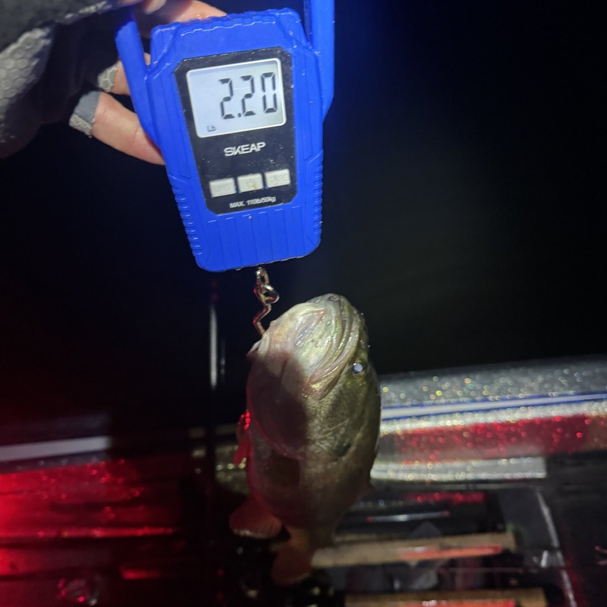 Largemouth Bass — 2 lbs 3 oz
