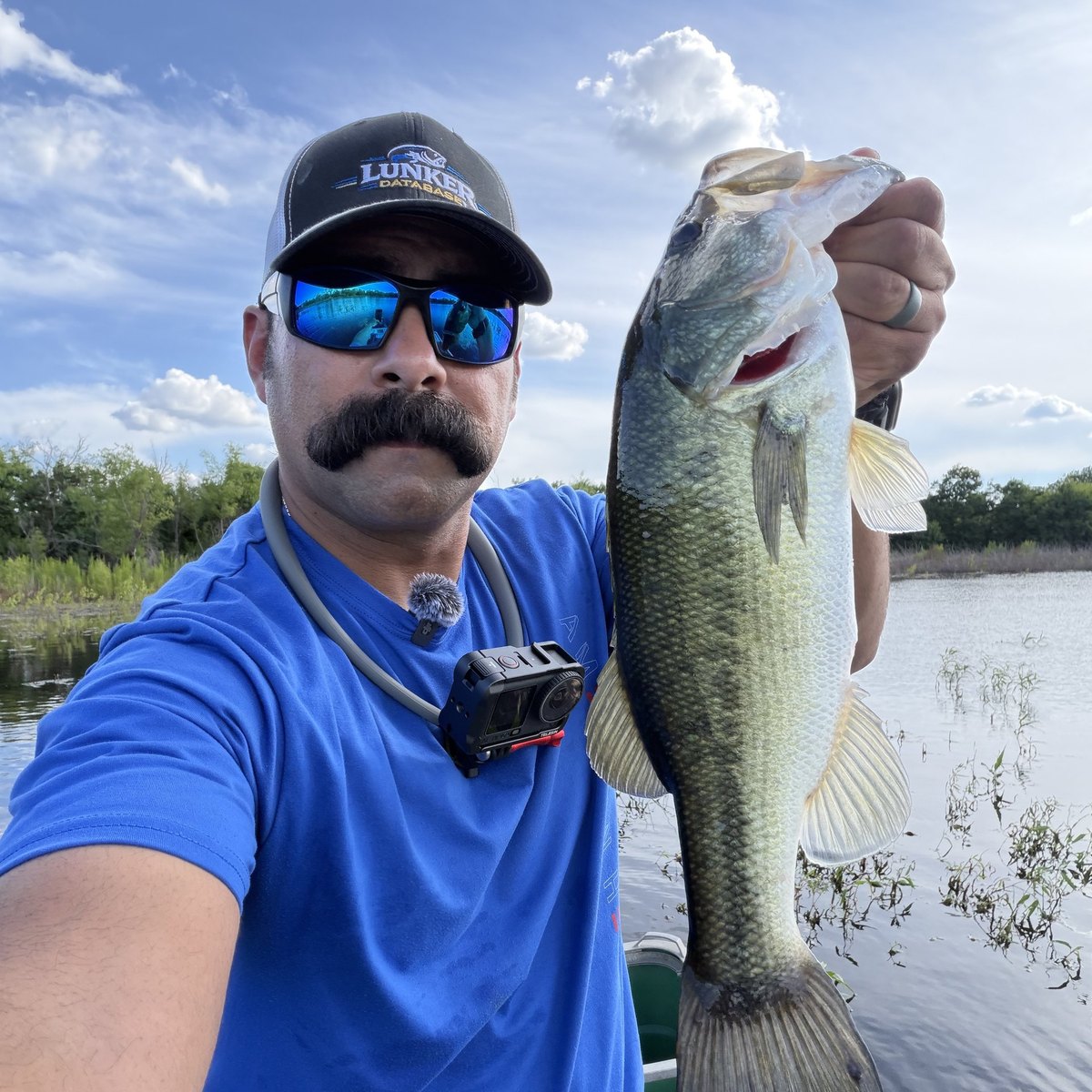 Largemouth Bass — 2 lbs 8 oz