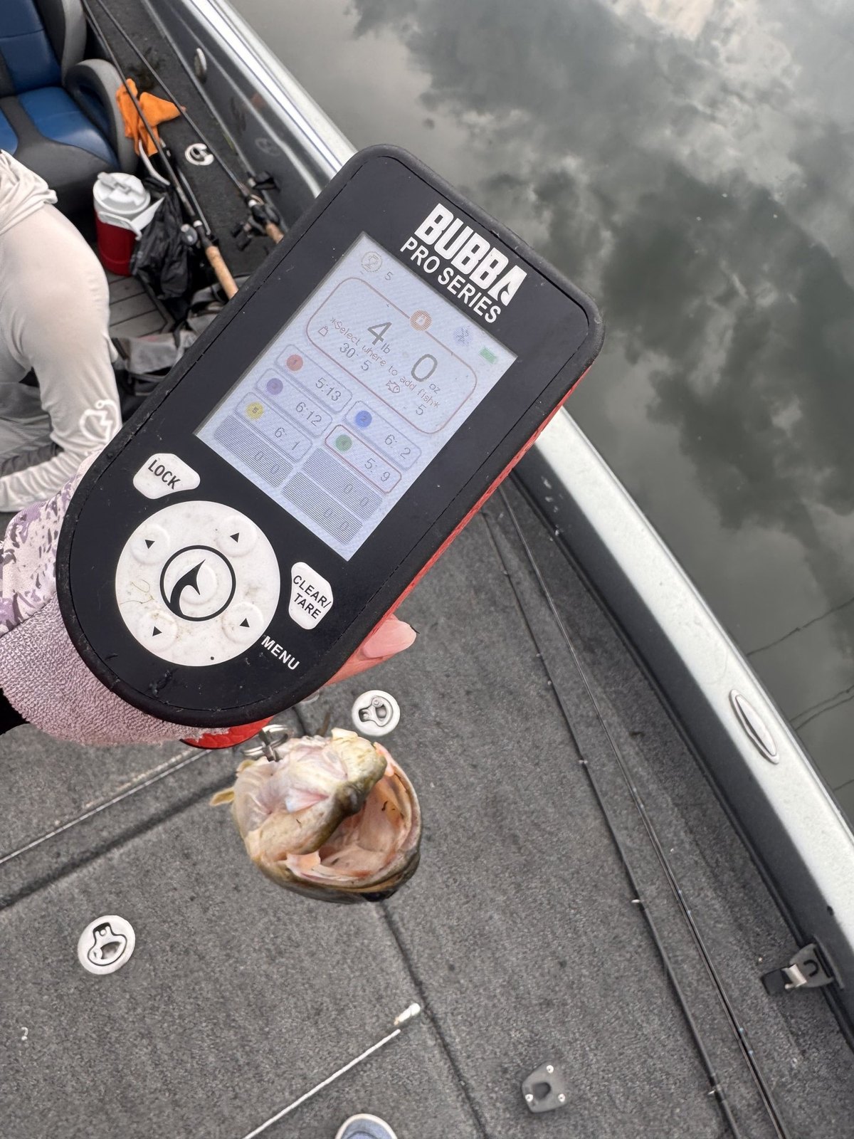 Largemouth Bass catch photo 2