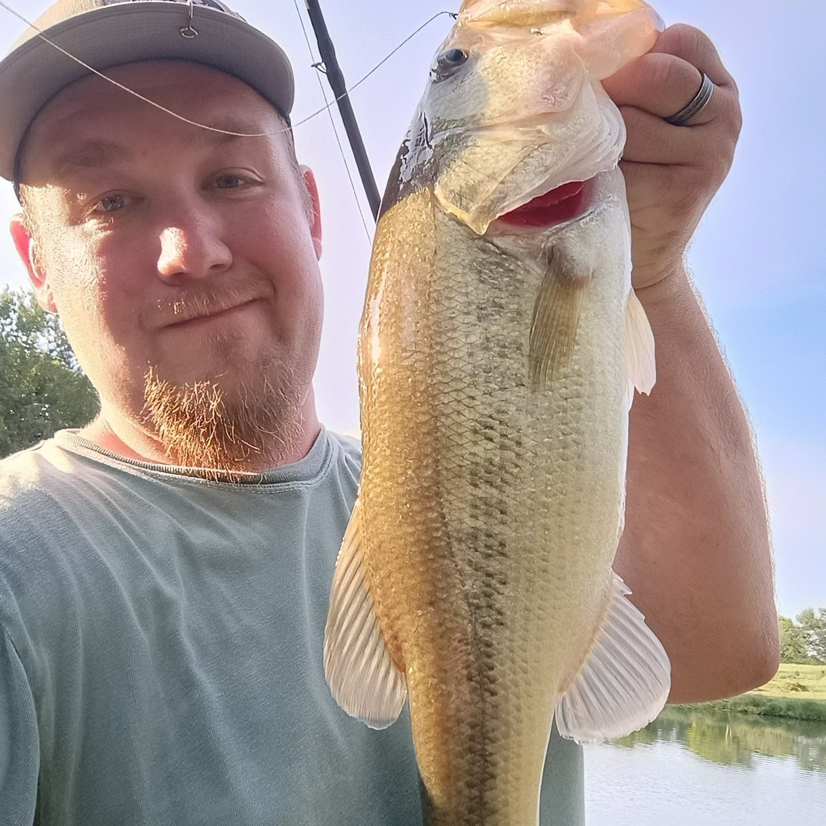 Largemouth Bass — 2 lbs 13 oz