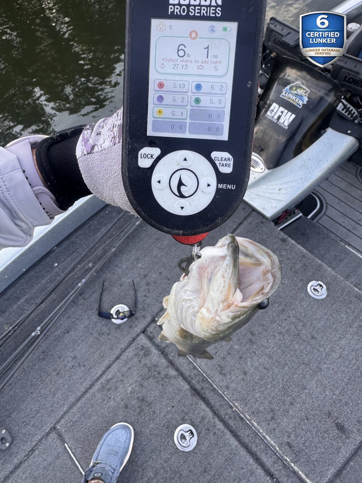 Largemouth Bass catch photo 1