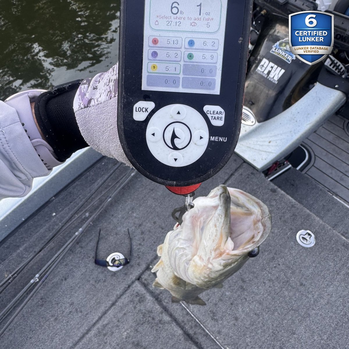 Largemouth Bass — 6 lbs 1 oz