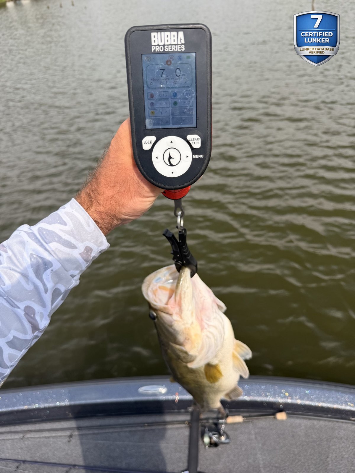 Largemouth Bass catch photo 2