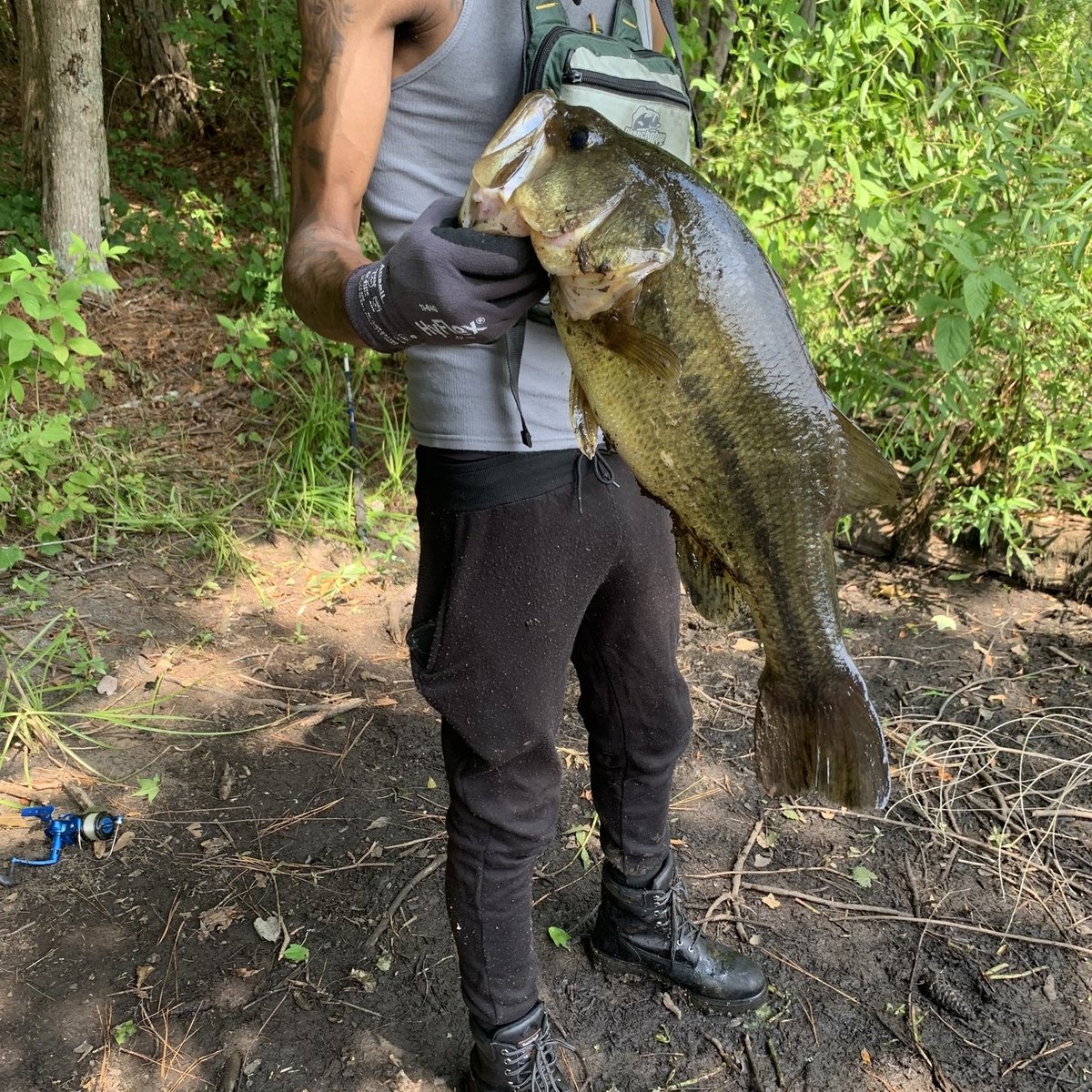 Largemouth Bass — 8 lbs 7 oz