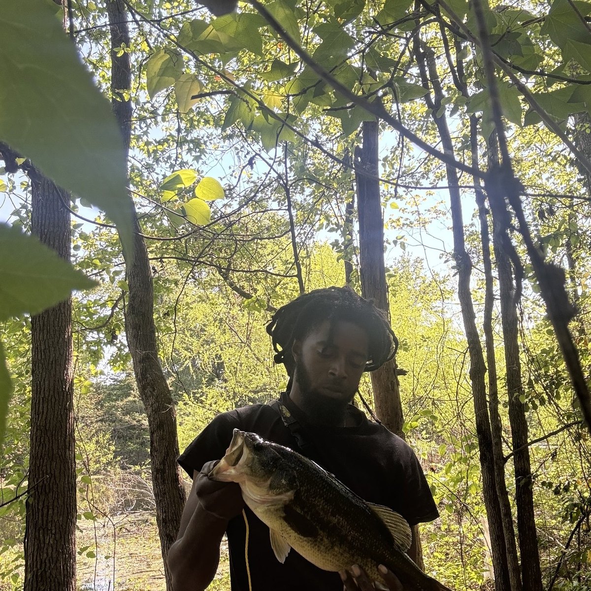 Largemouth Bass — 3 lbs 7 oz